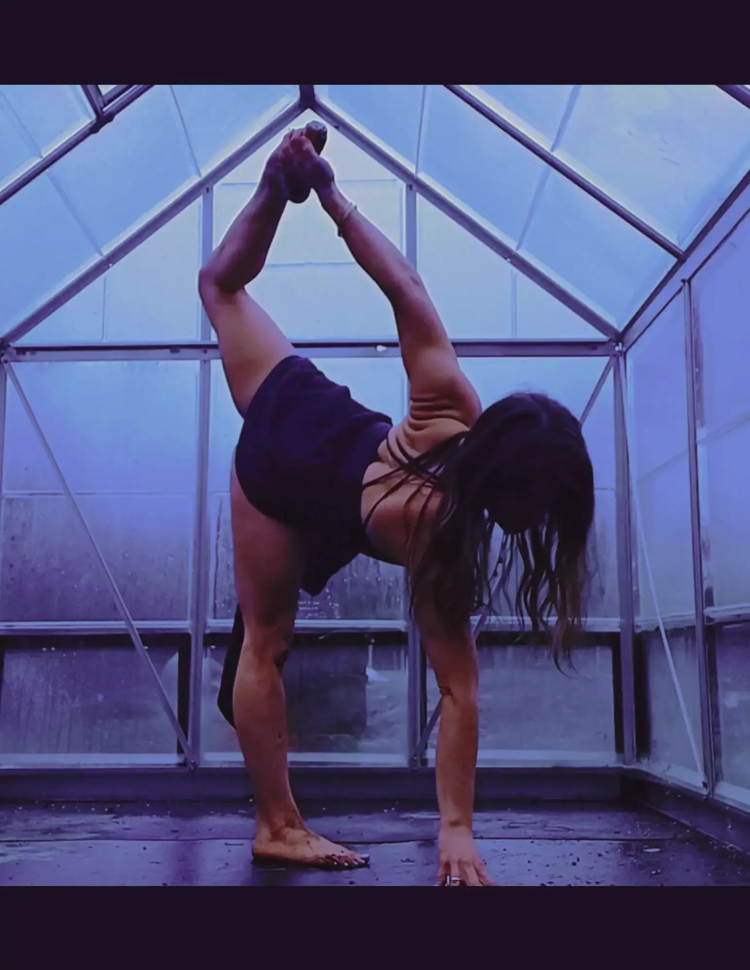 Brittany McAllister image
