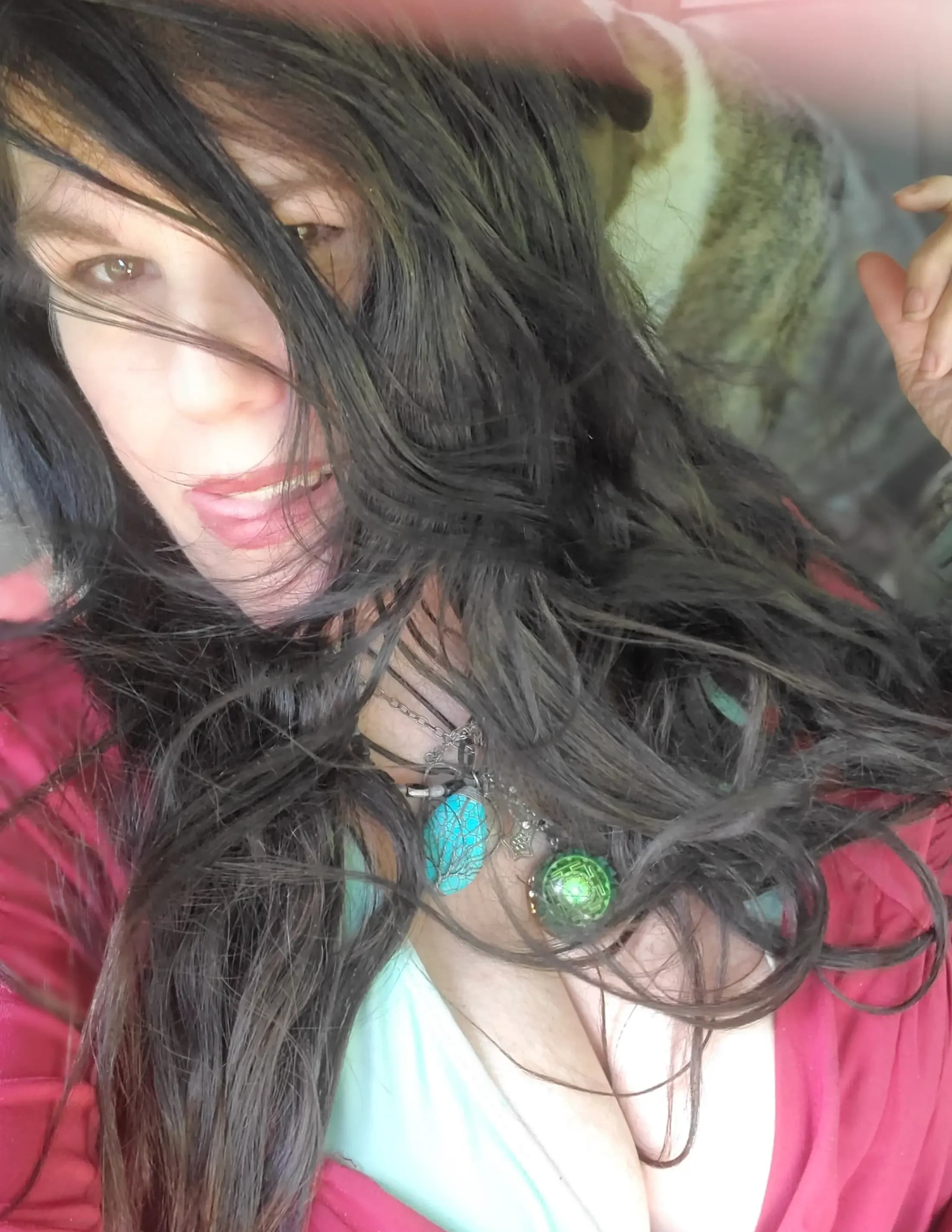 @Shellynolastname image