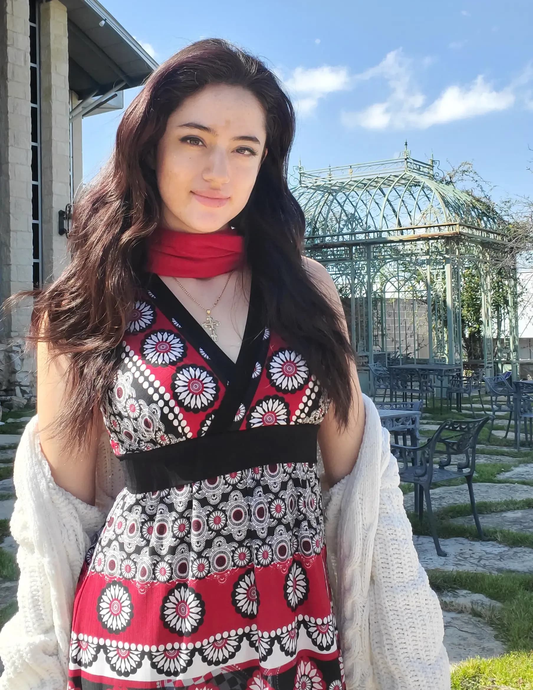 Ana Menendez image