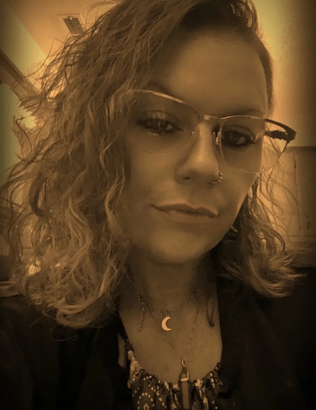 Lindsey Lee Lee Messick image