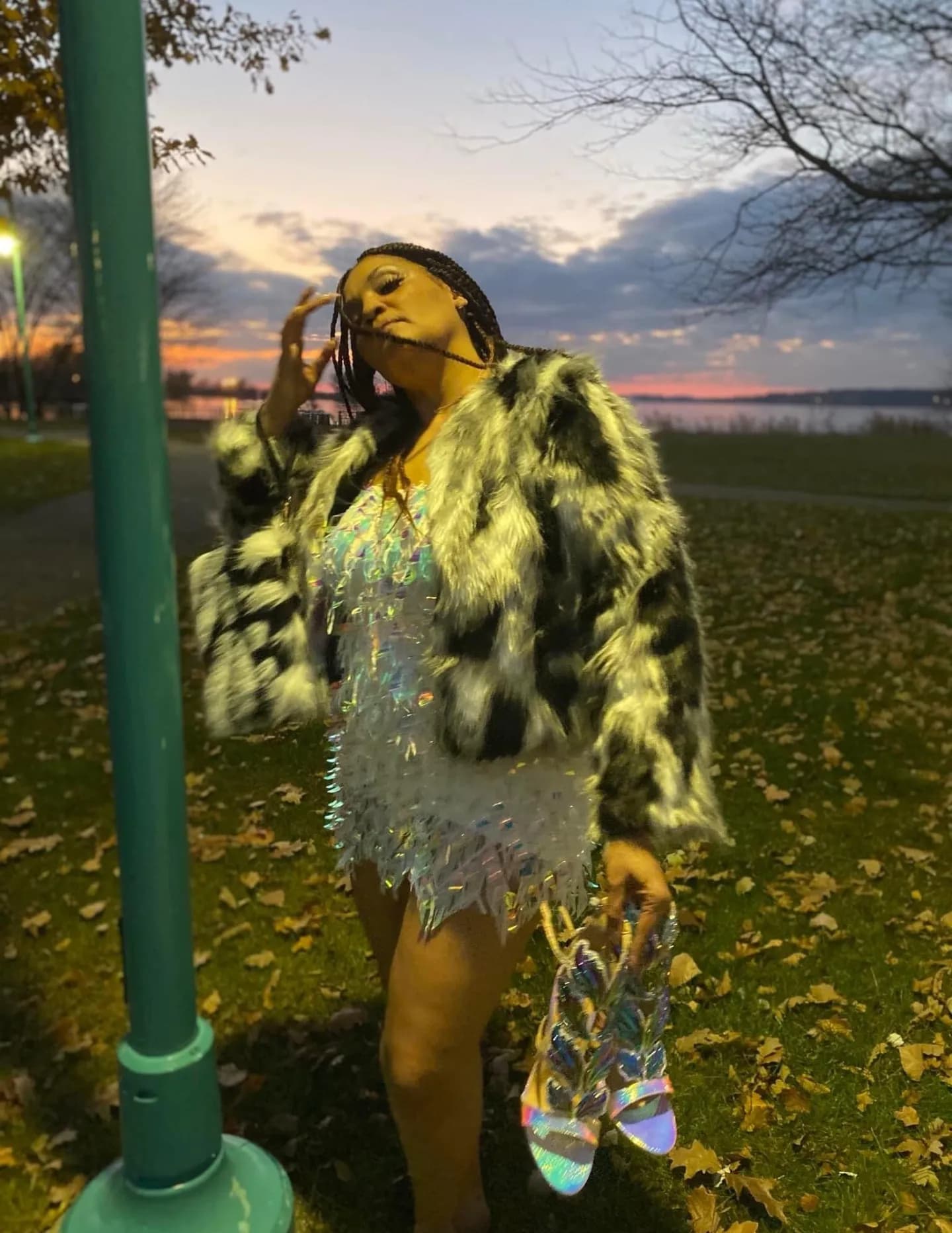 Rayshe Collins image
