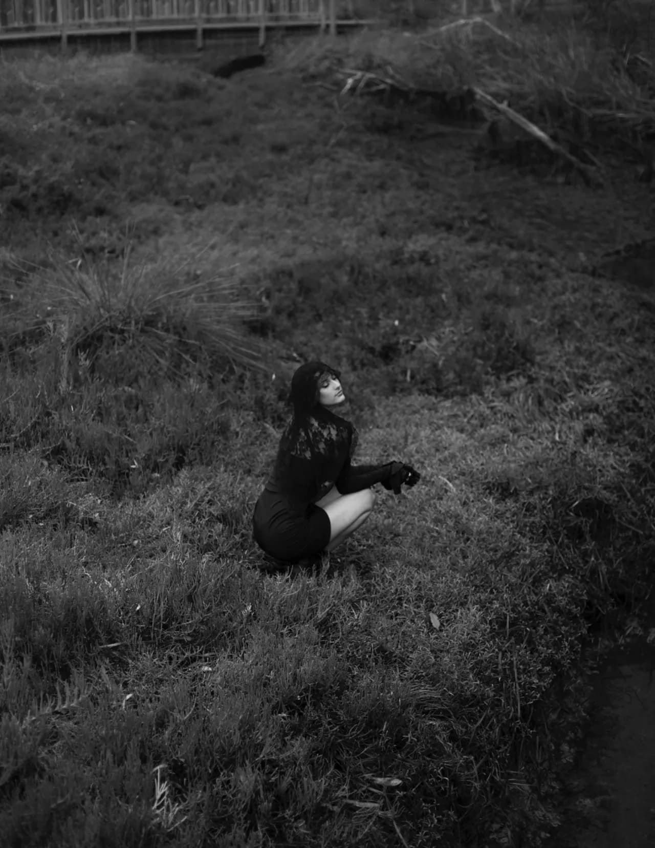 Morgan Lovio image