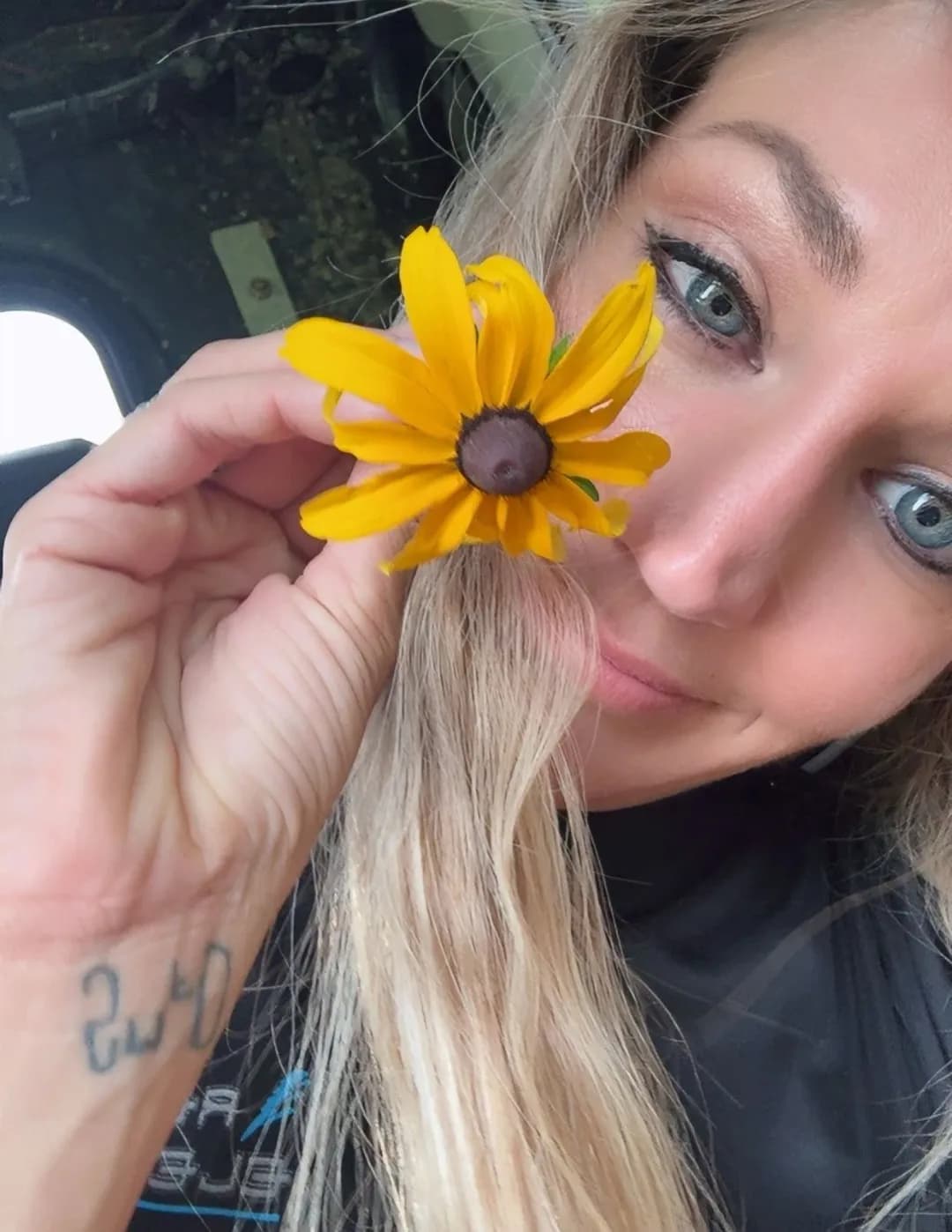 Haylo image