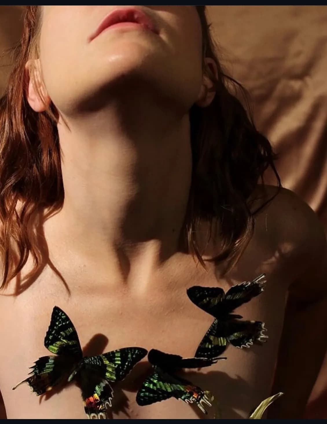 Calla Krause image