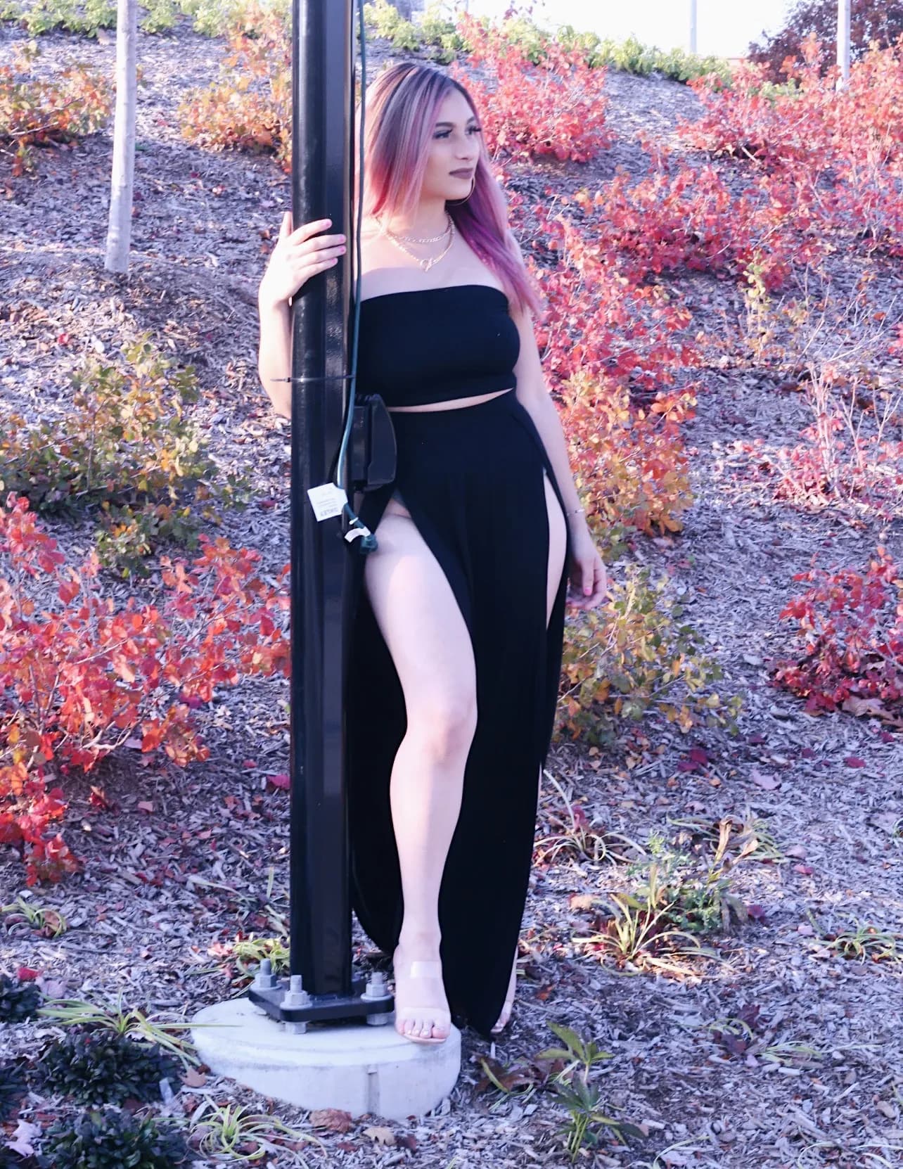 Alexia Meza image