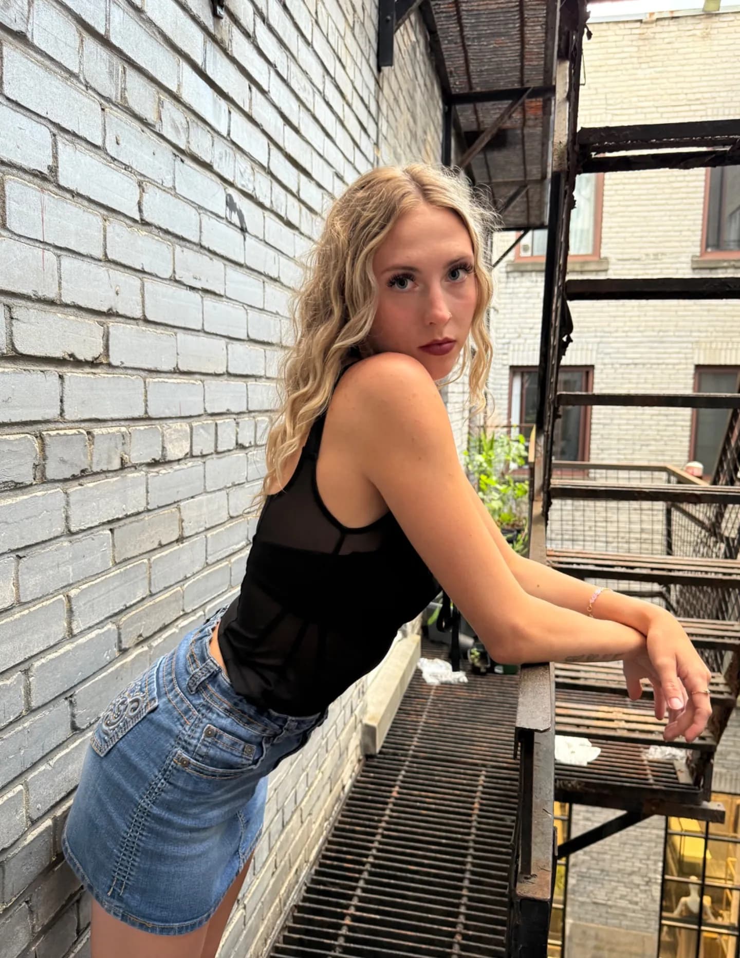 bretonlambert image
