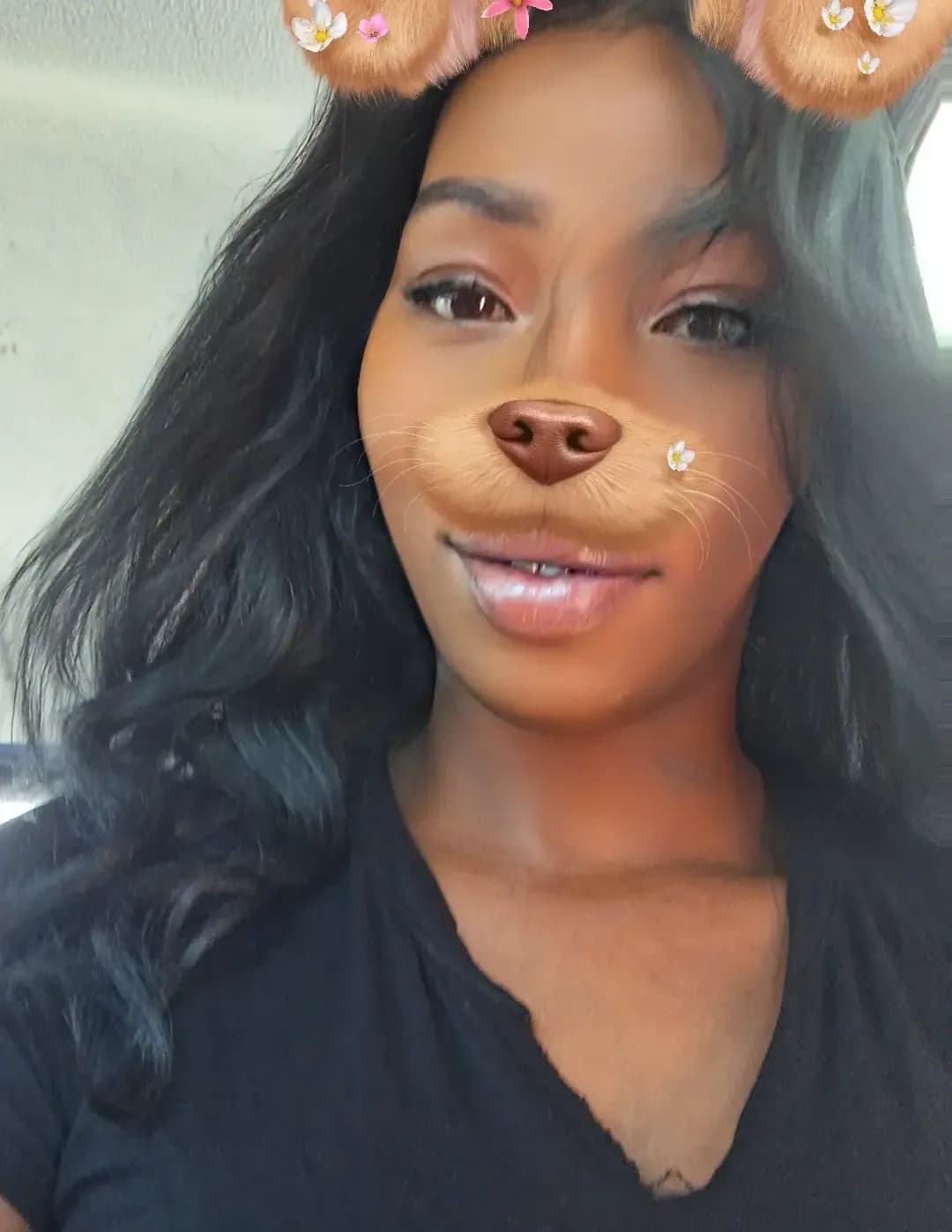 Cici image