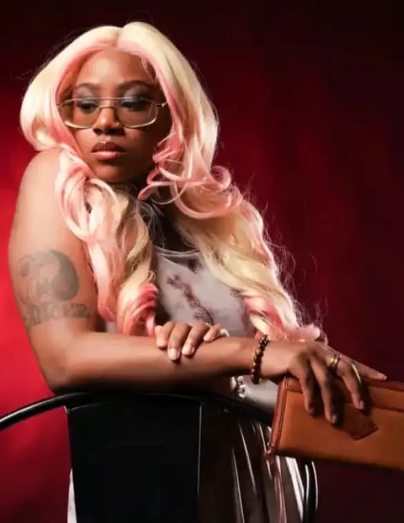 ColorfulVixen image
