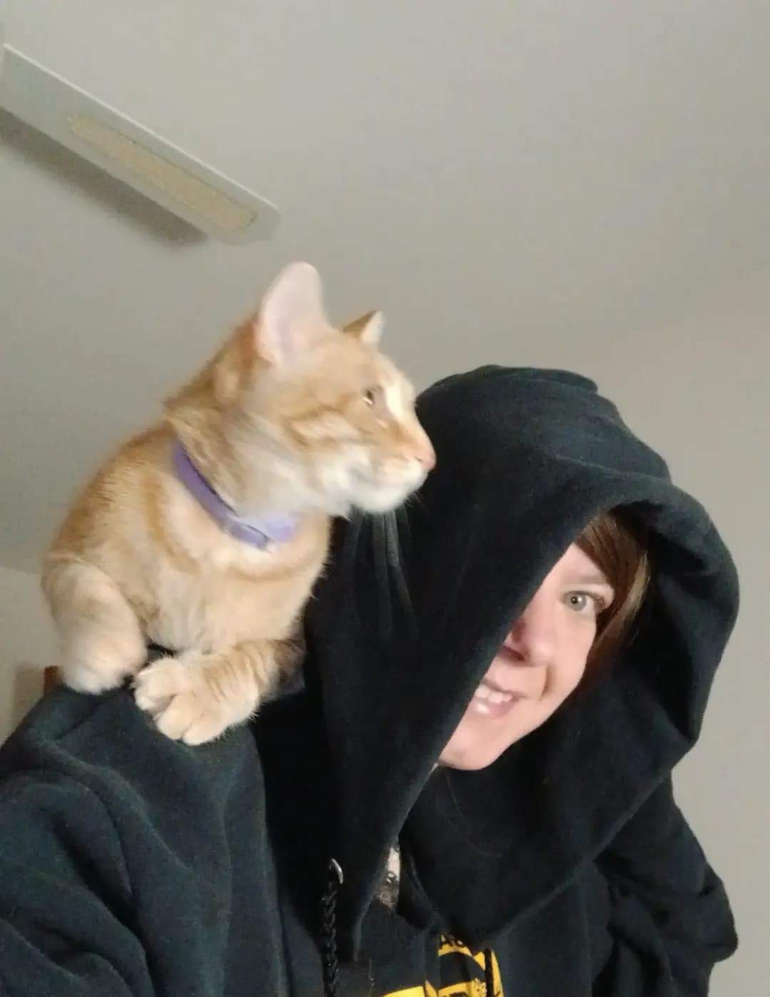 Kelsey image