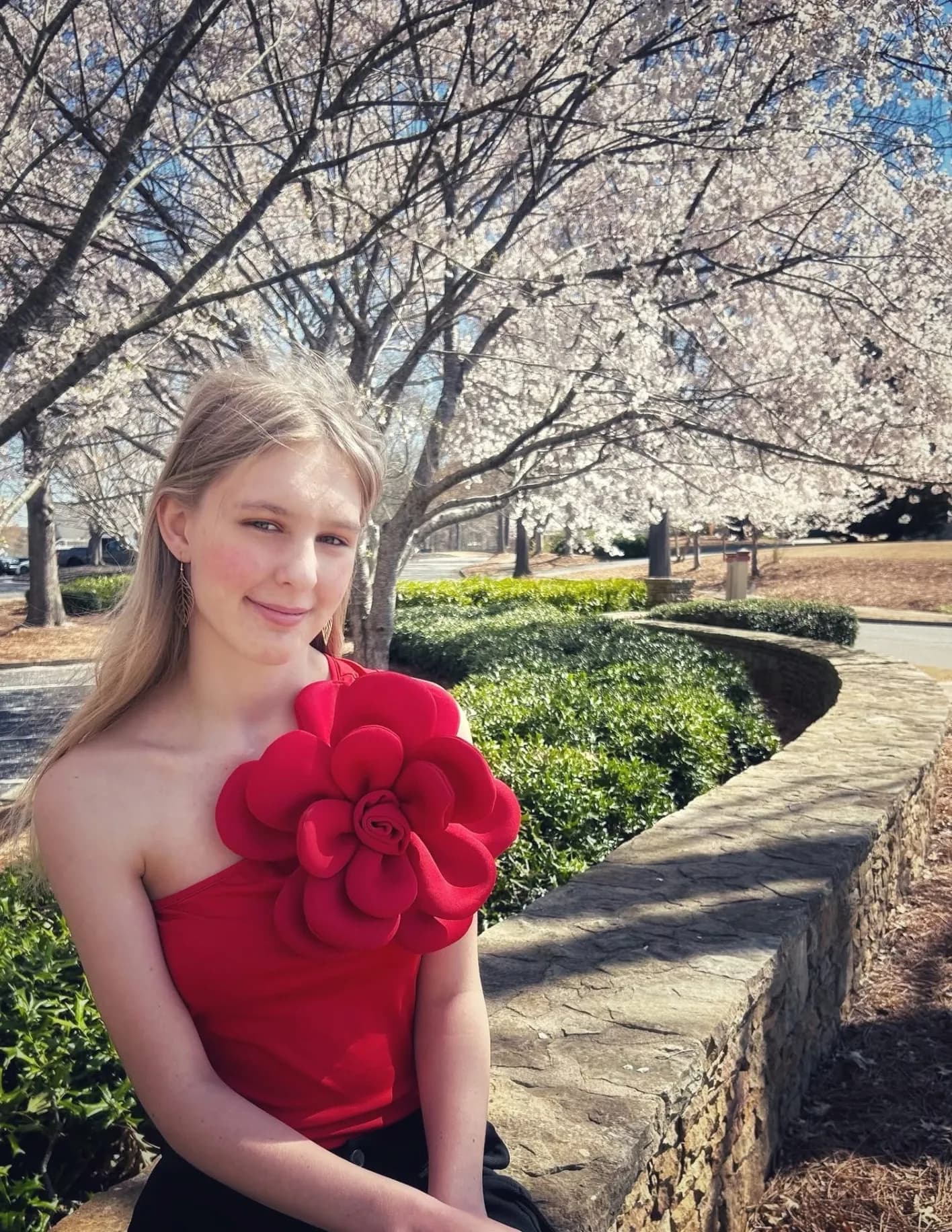 AngelModel image