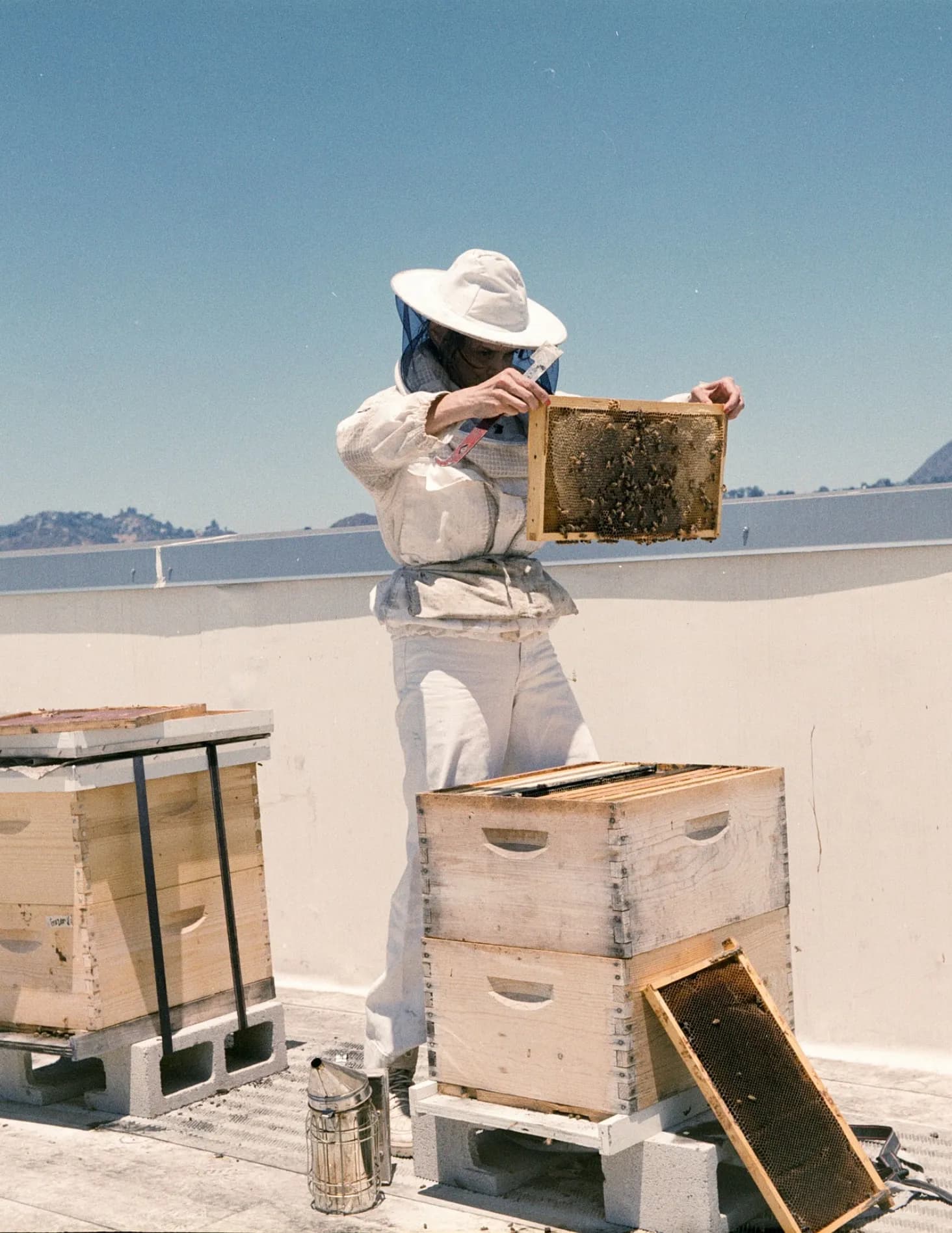 Beekeeper image