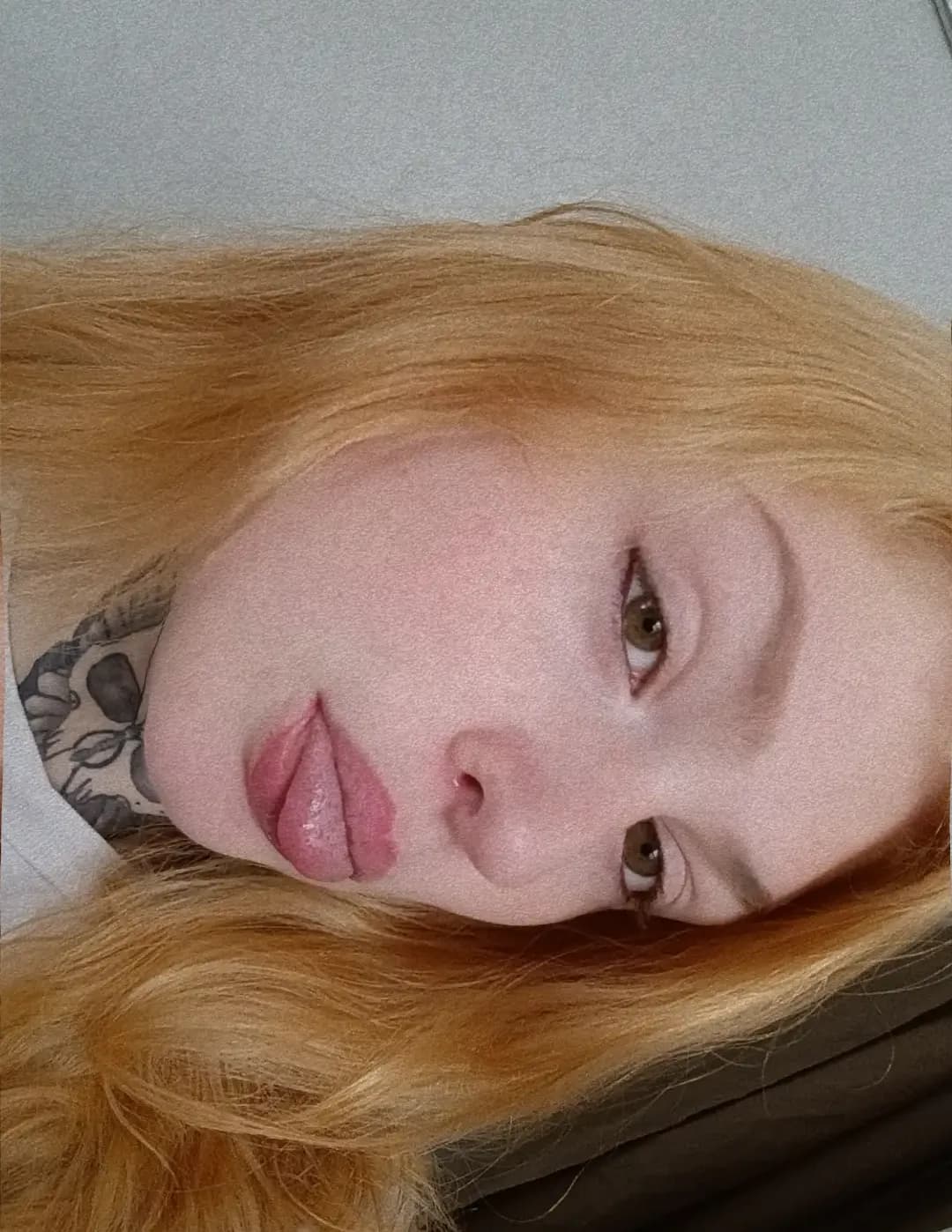 Kate image