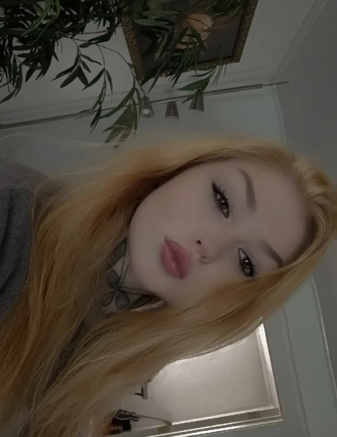 Kate image