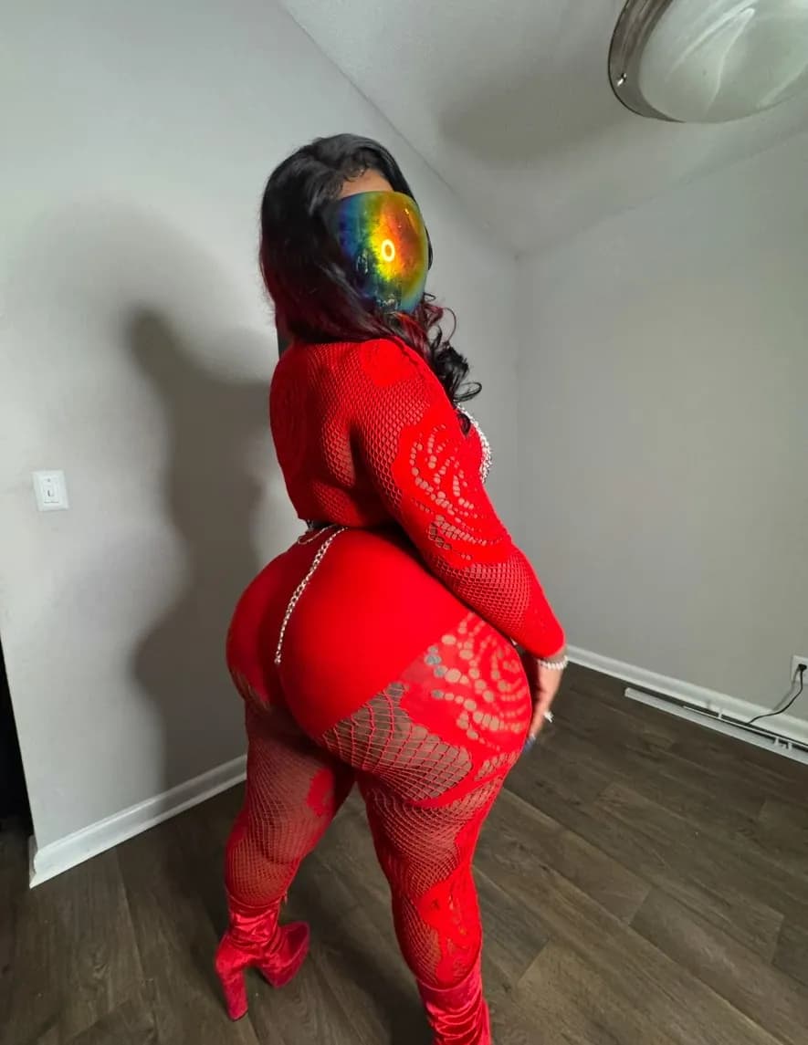 competitor BvXDx