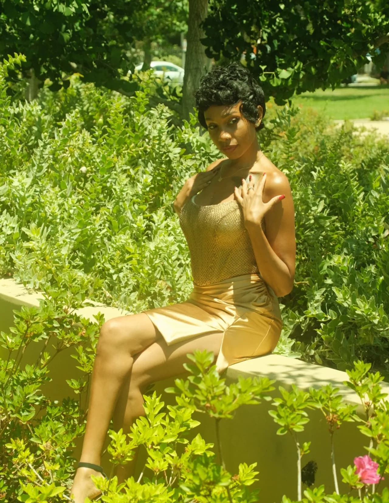 NovaaTheModel image
