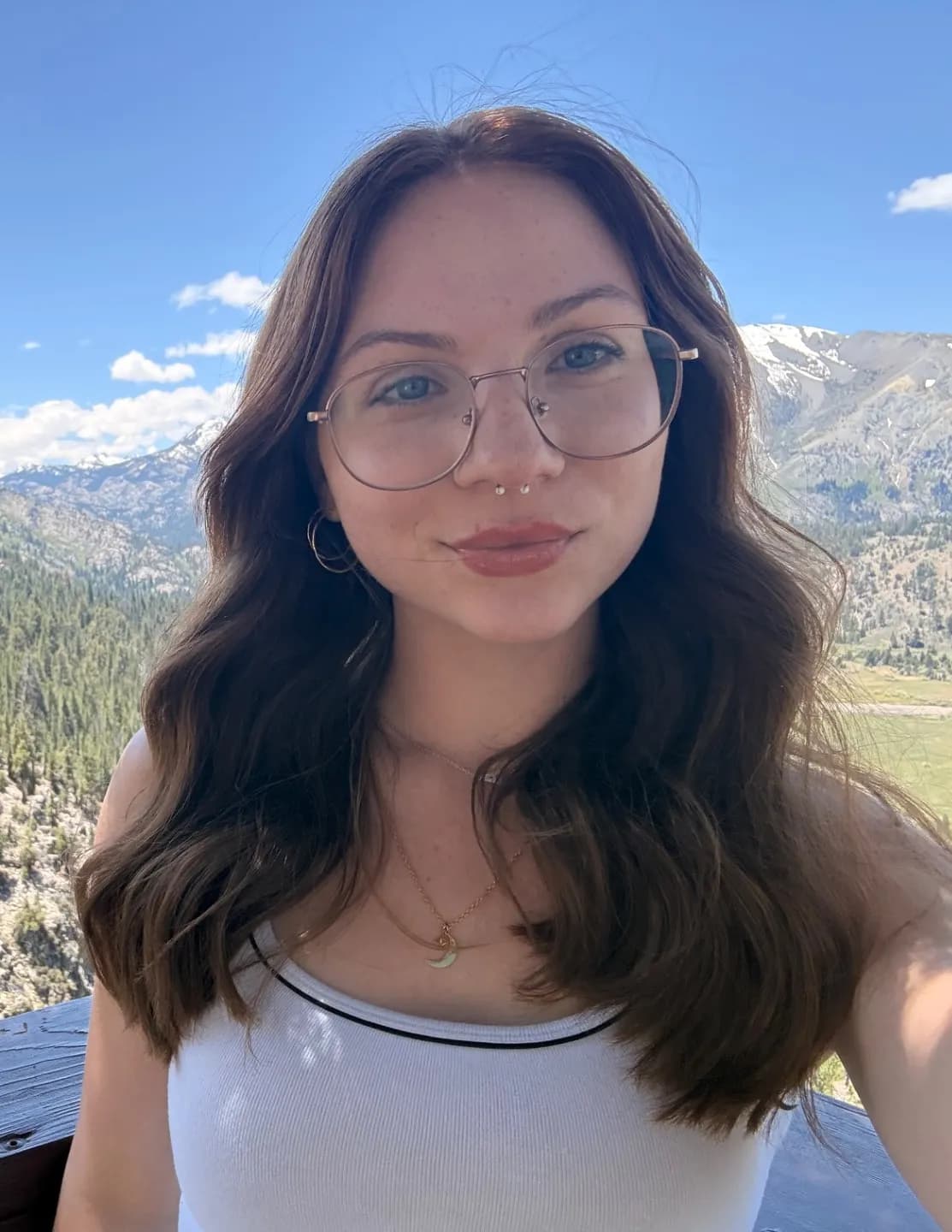 Lily image