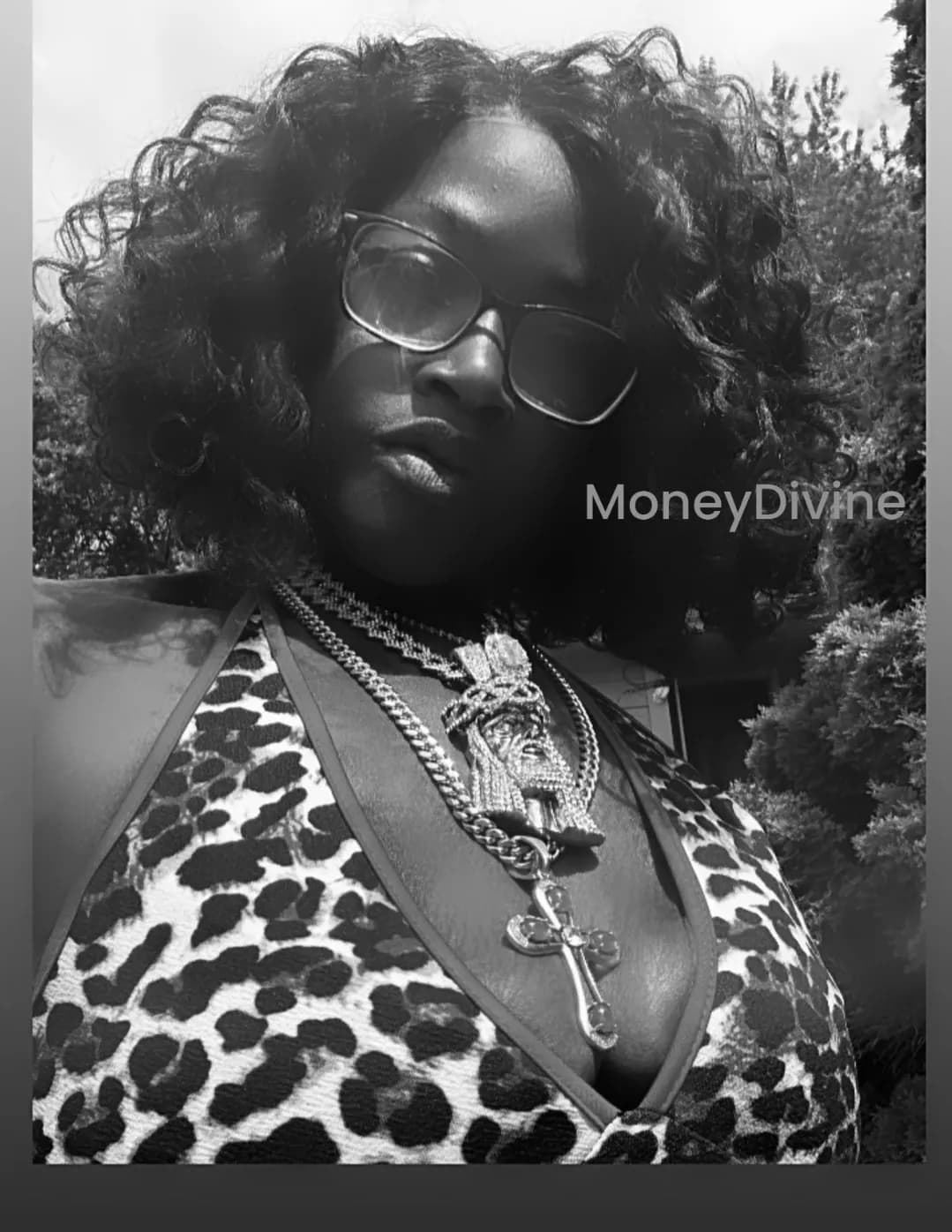 MoneyDivine image