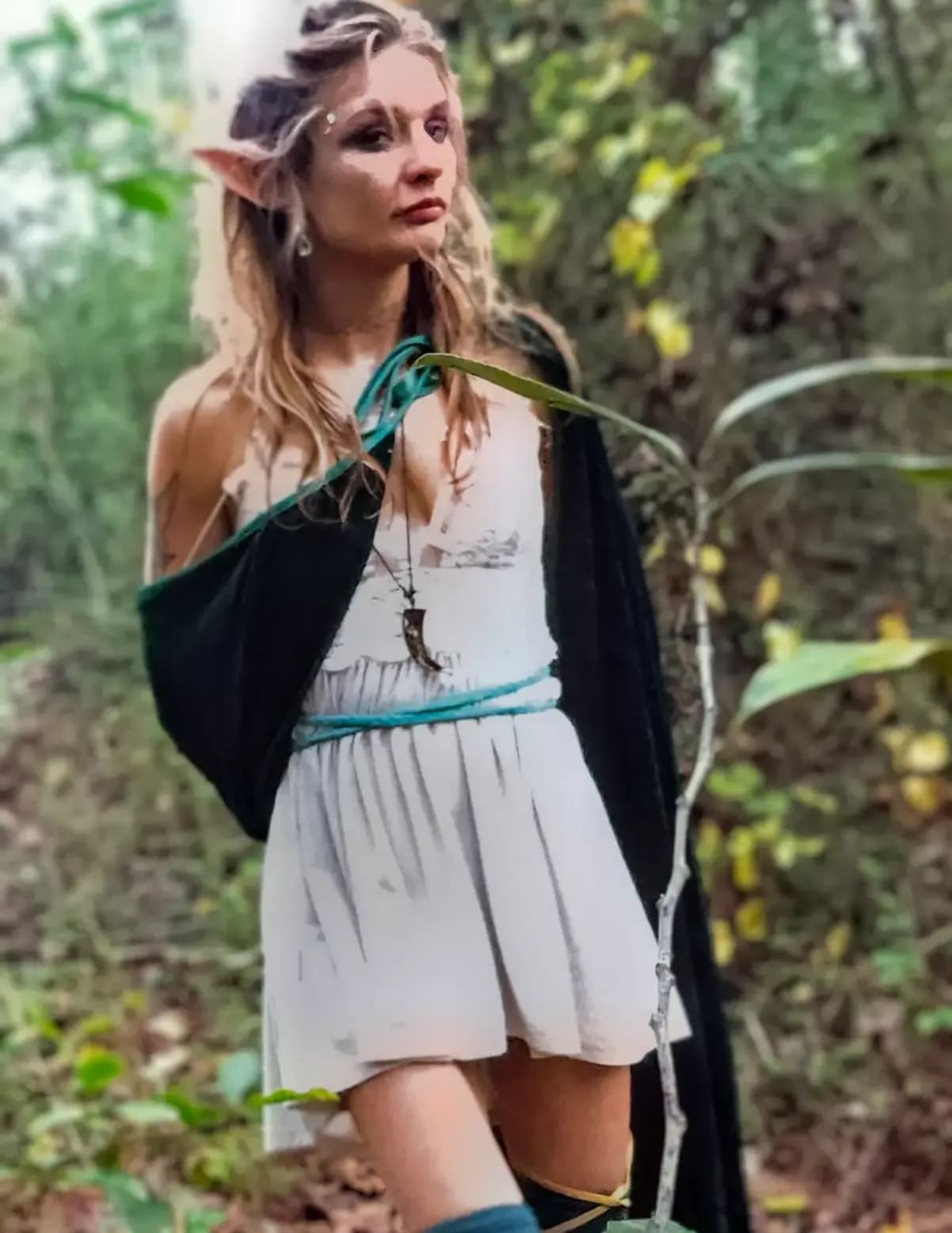 competitor owl5D