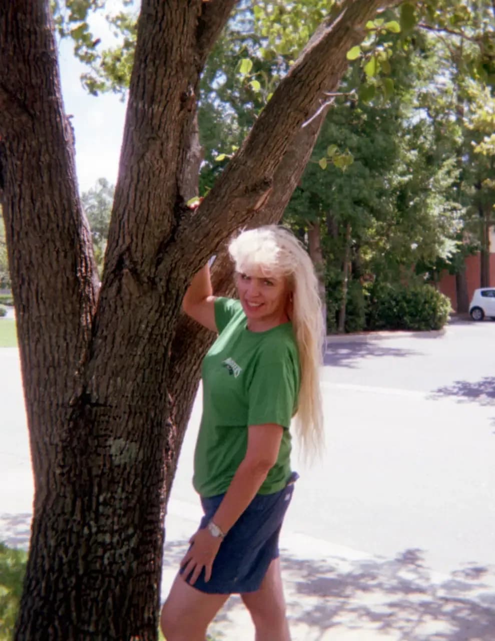SCBLOND image