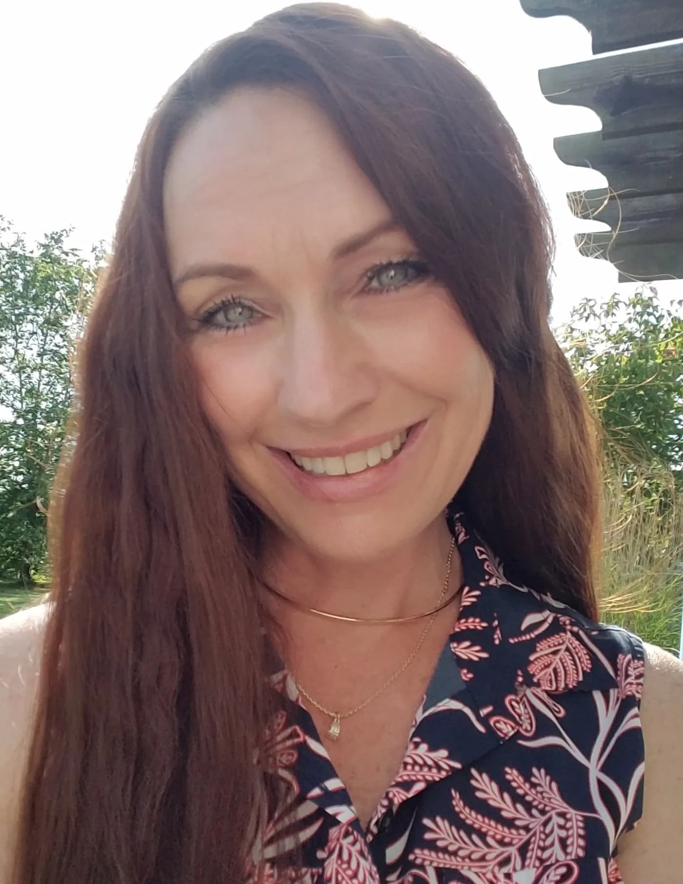 Carrie Lee image