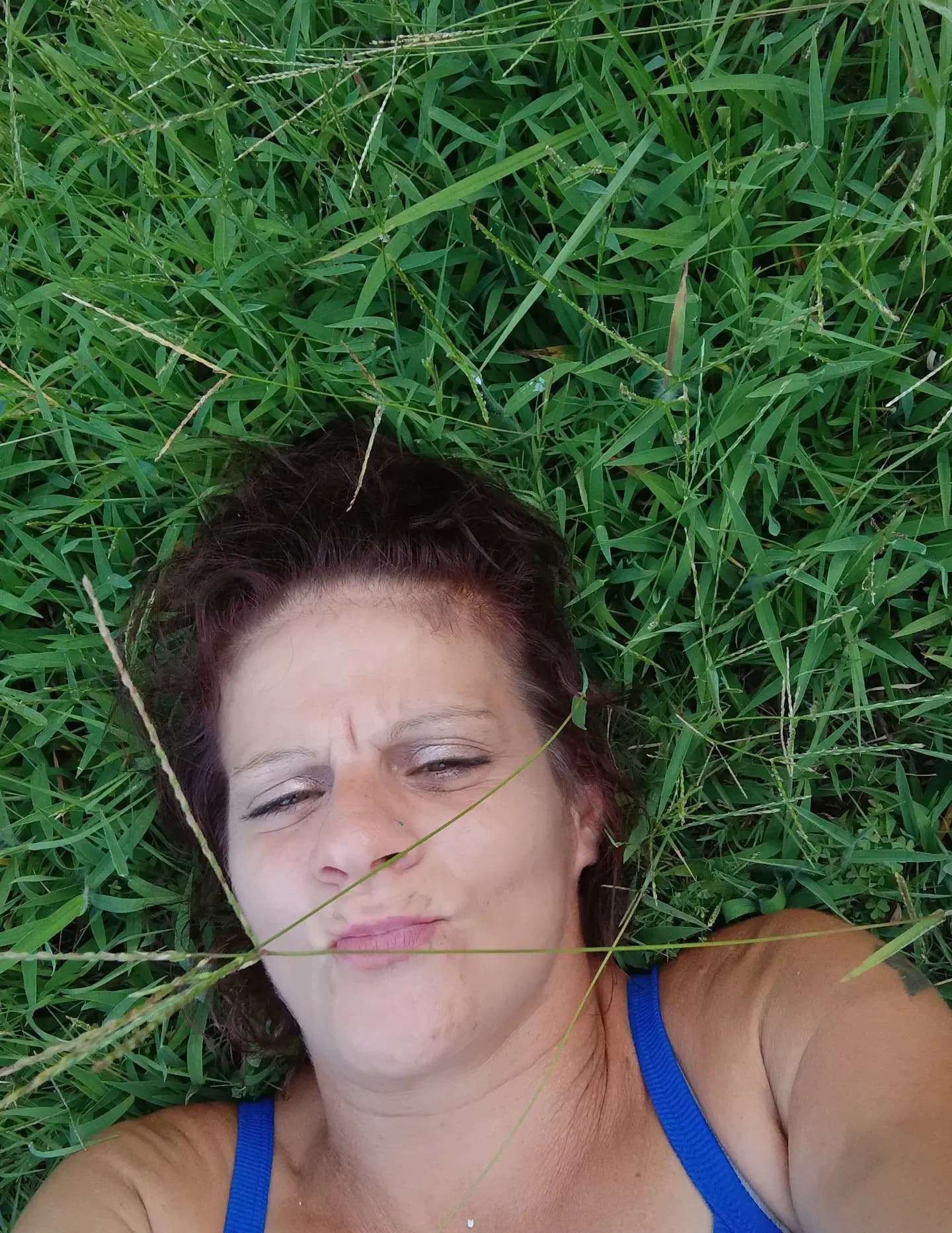 Katbaby image