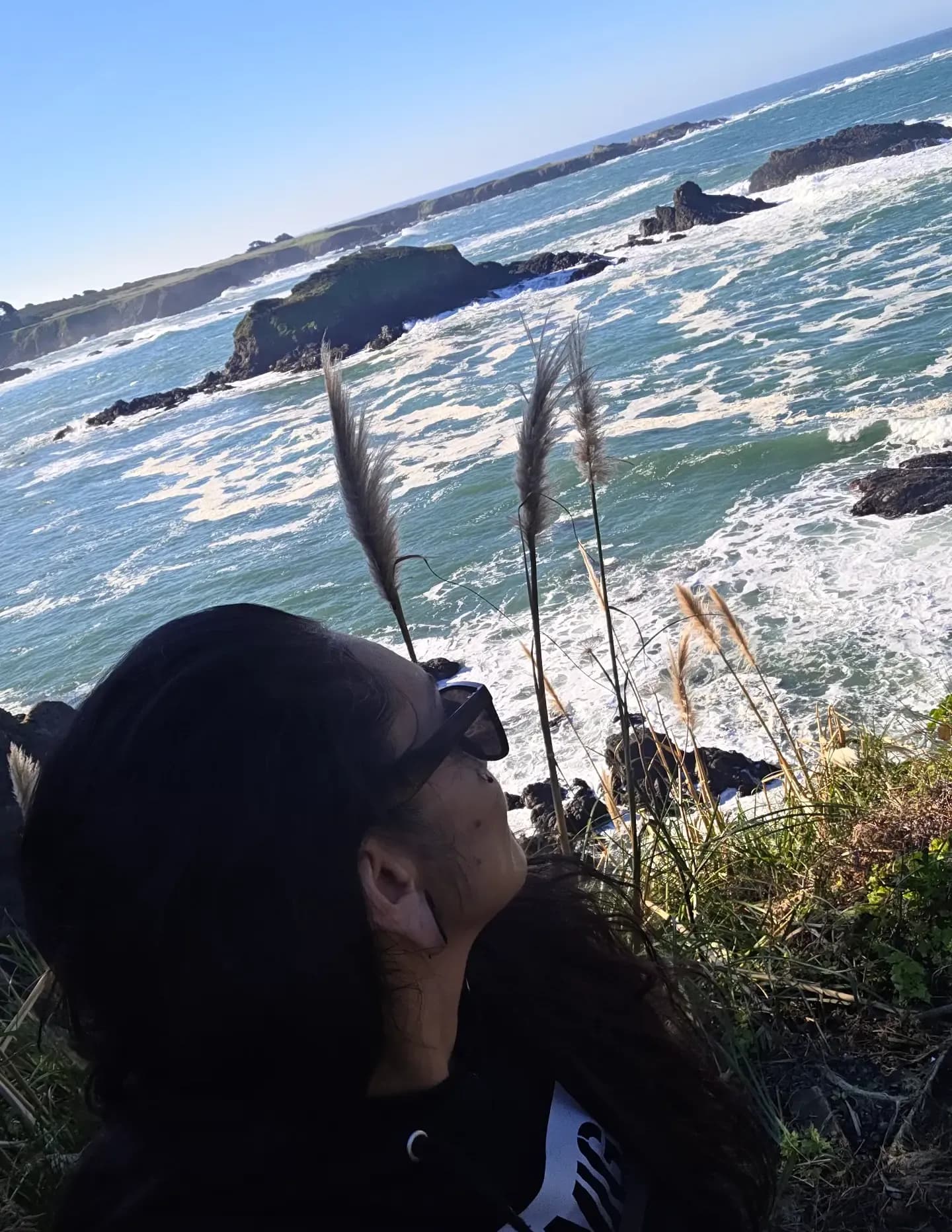 CoastMiwok707 image