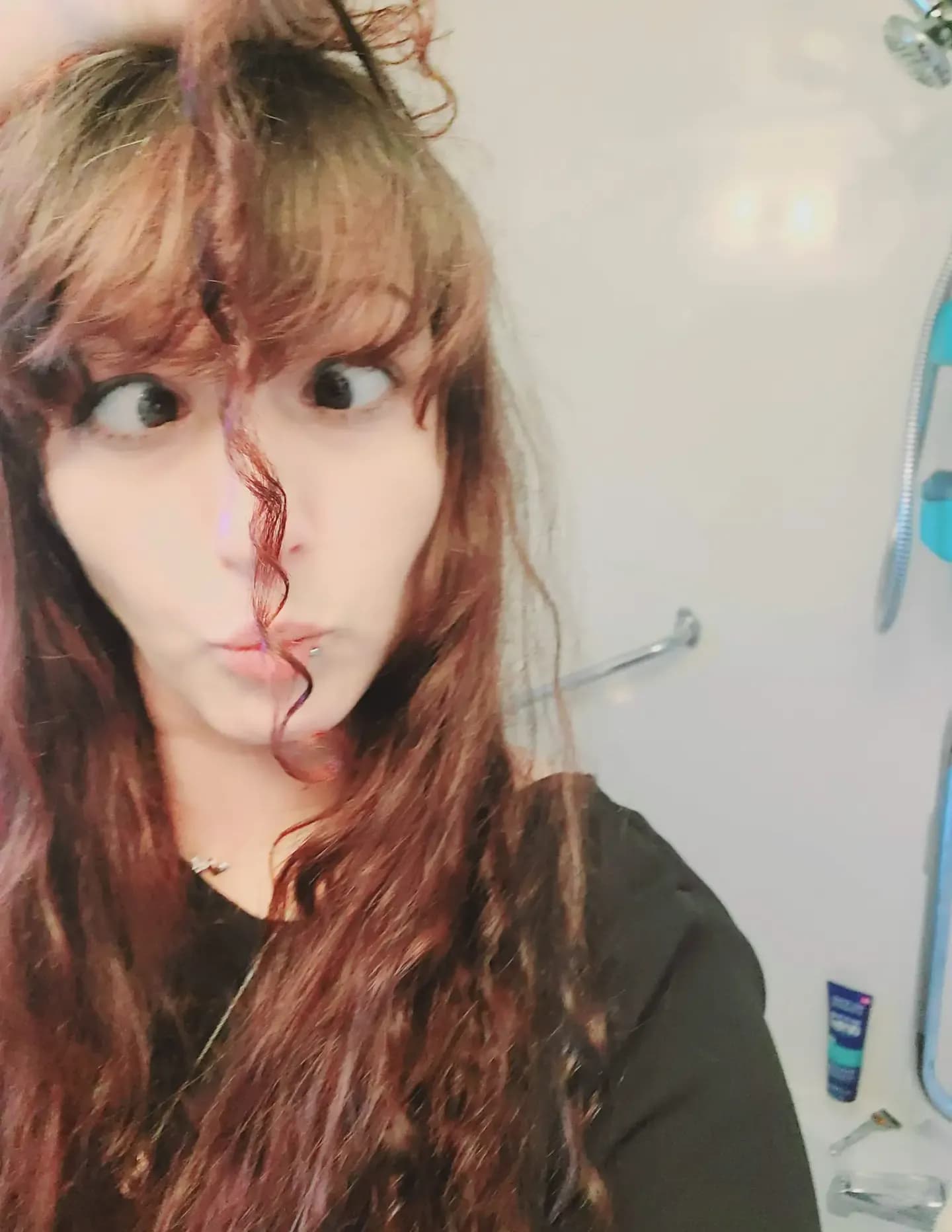 Daniela DiCarlo image