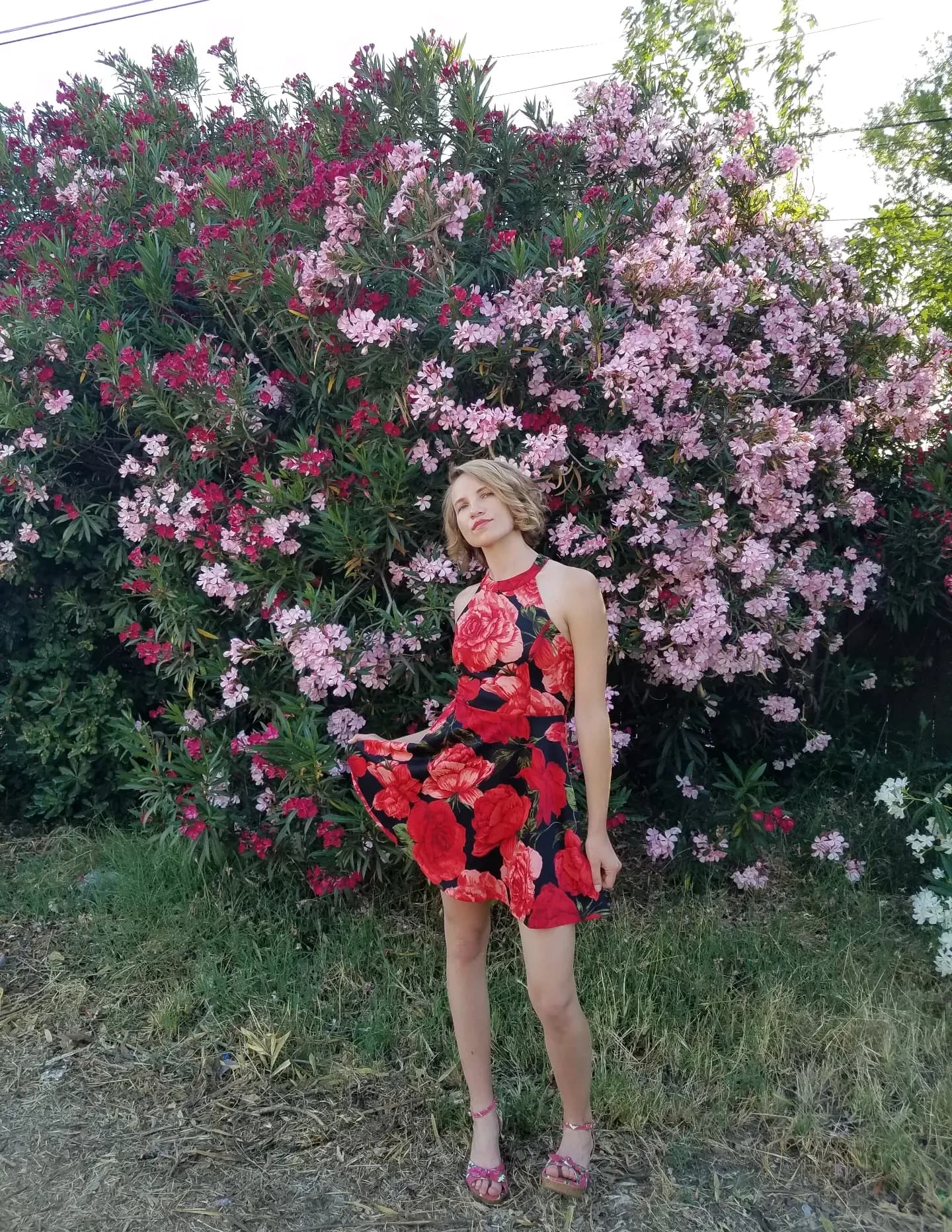 Masha image