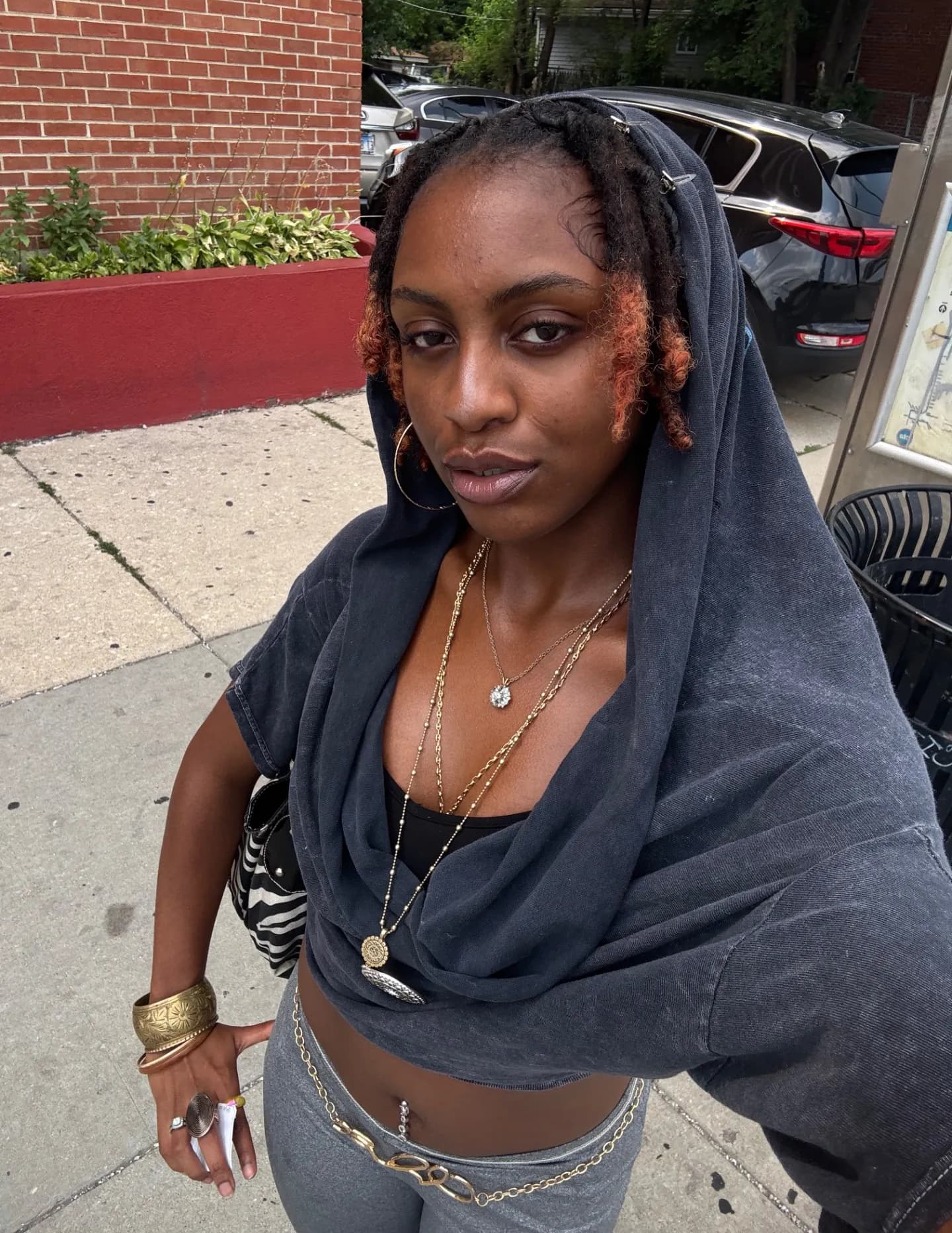 Dee Zhané image