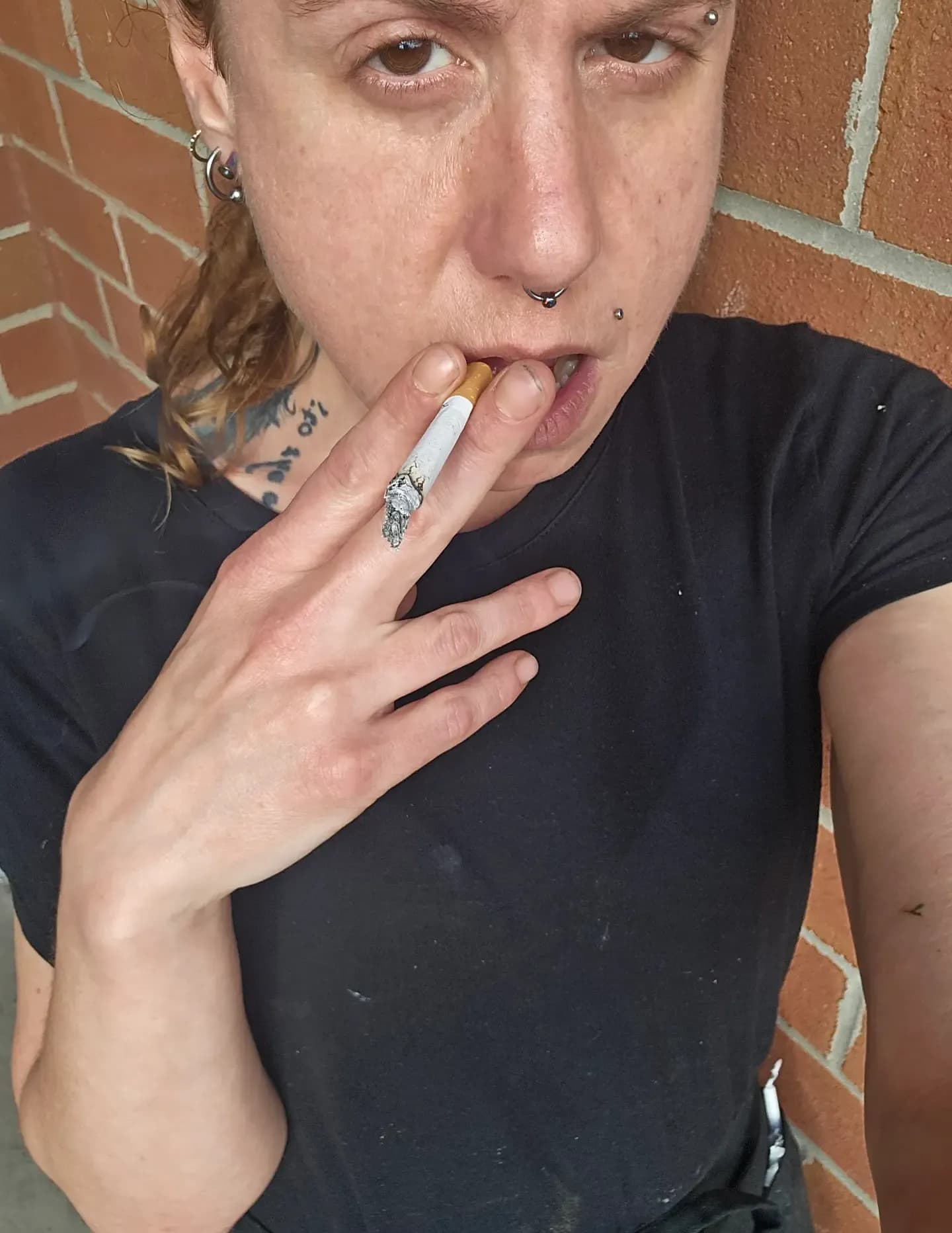 ASHes image
