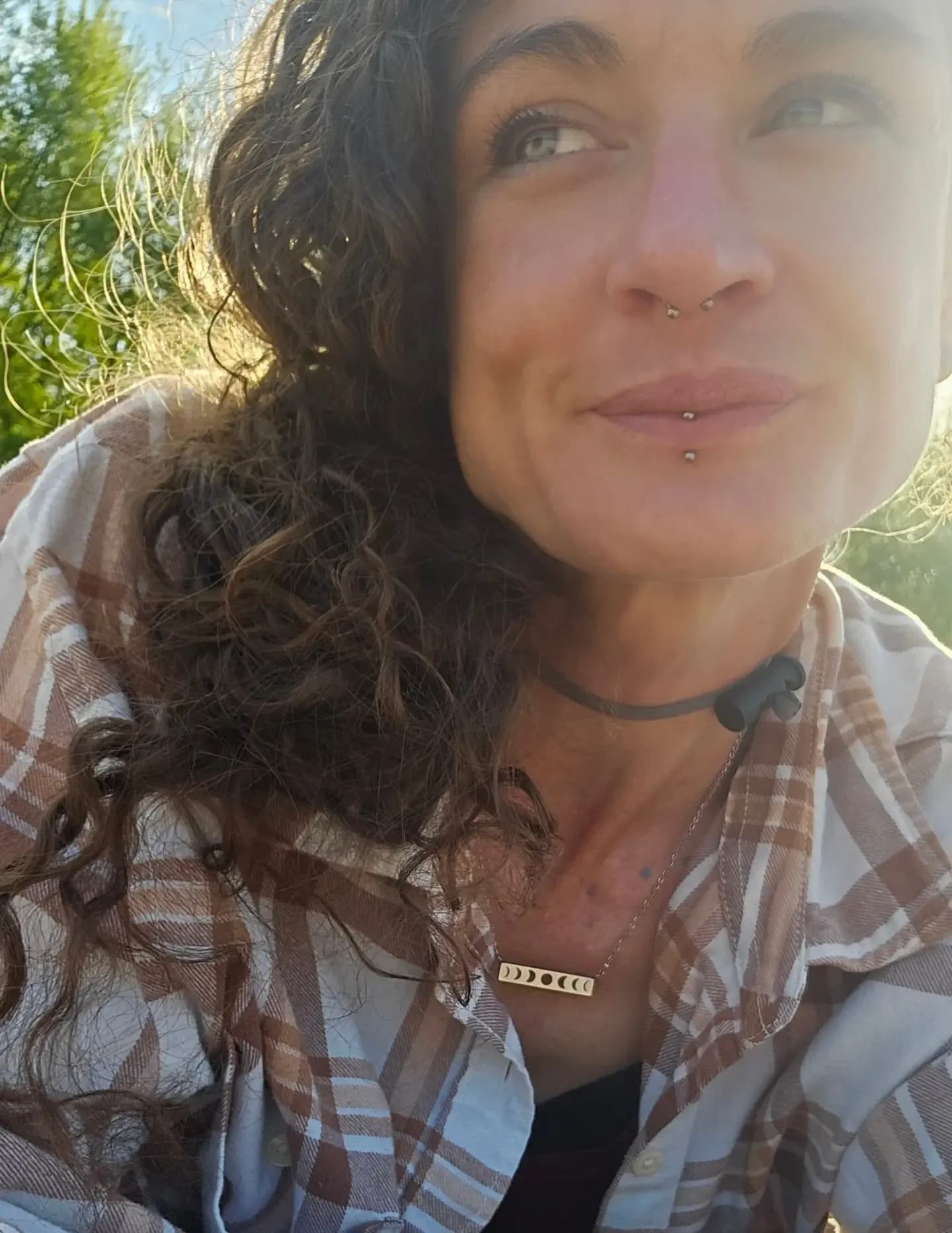 BriLea image