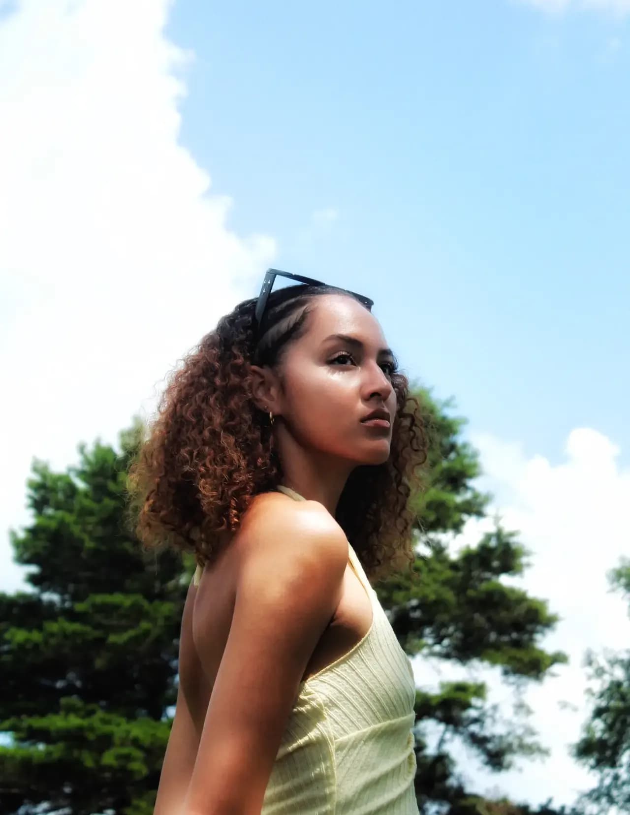 Milan Ferrer Barrett image