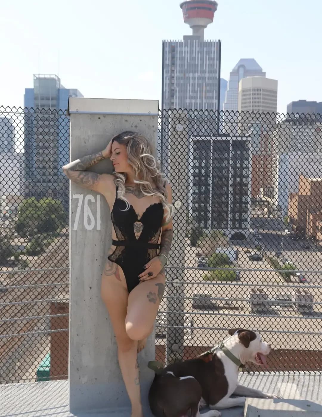 Krystal Knutson image
