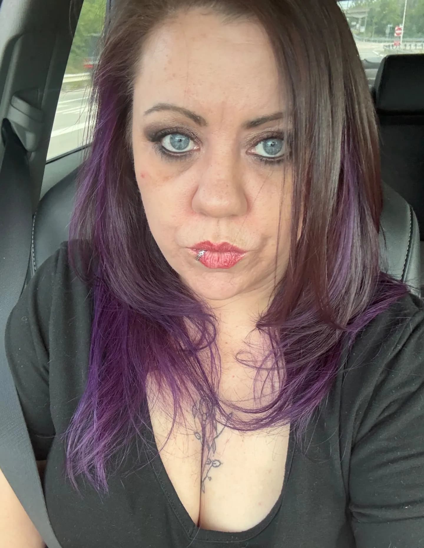 Heather Highdefinition image