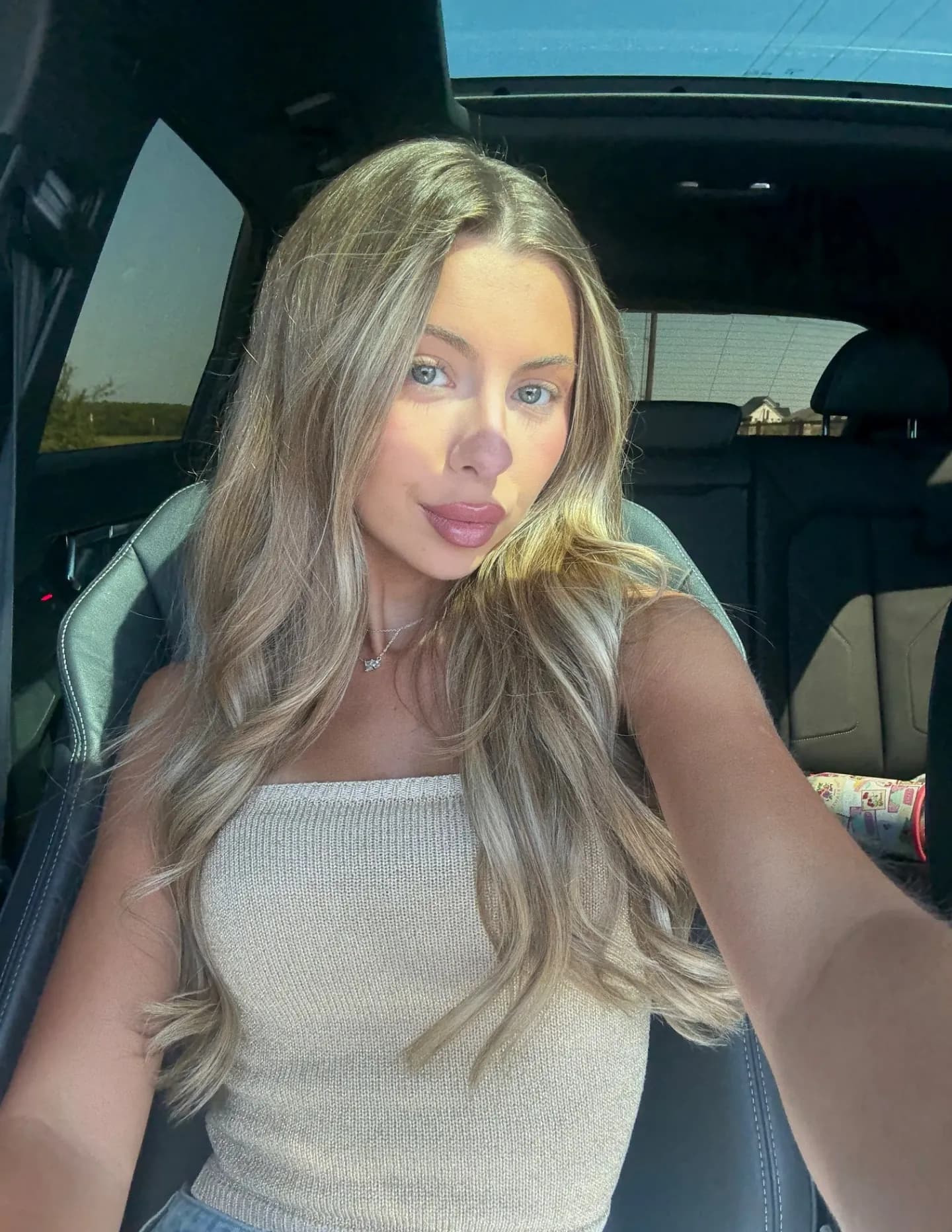 Lauren Hamilton image