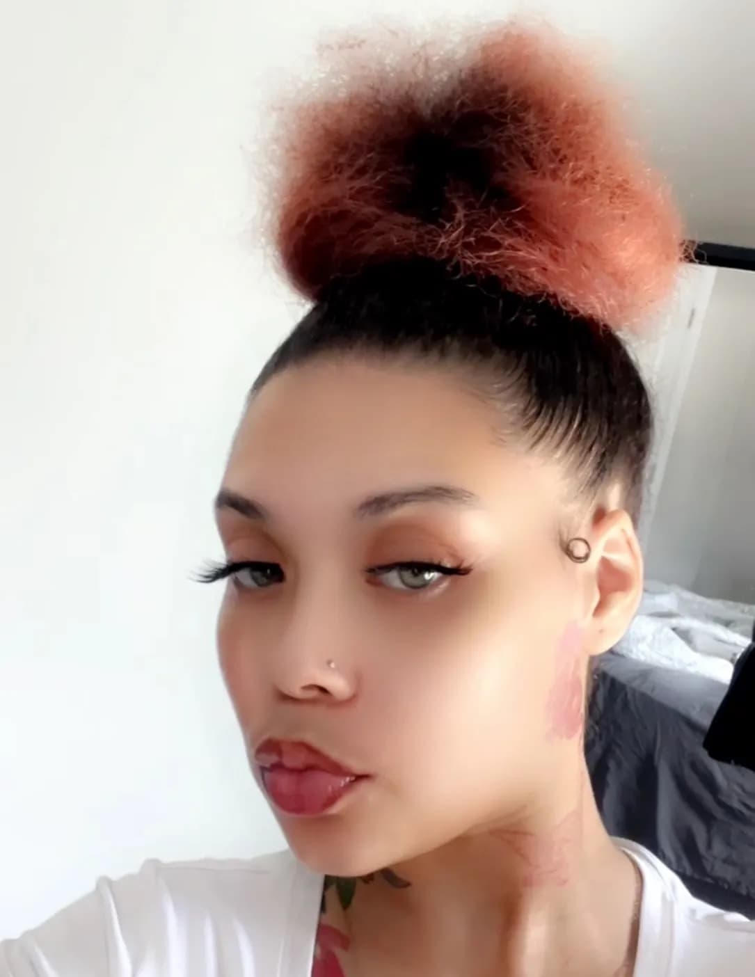 E'lexus image