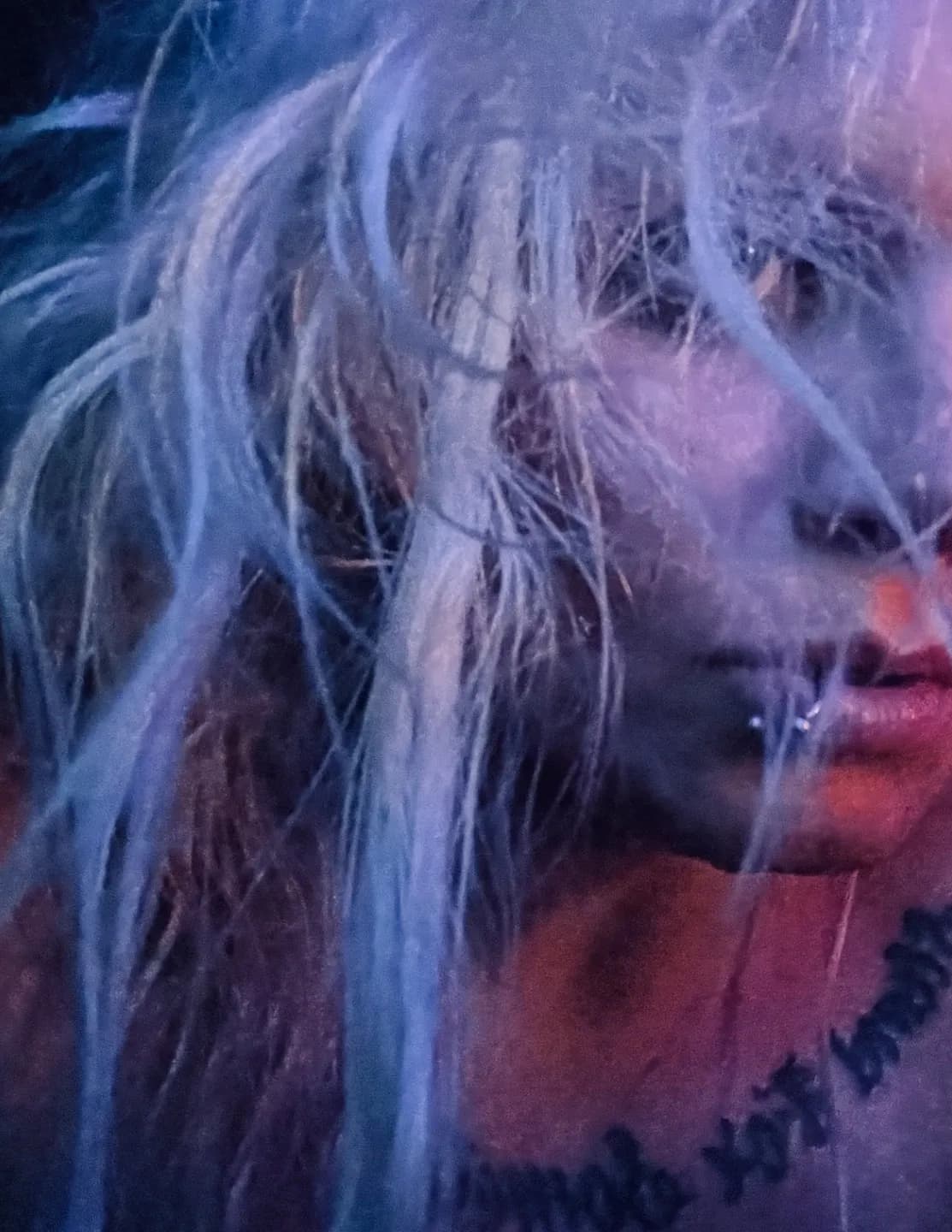 Gypsy image