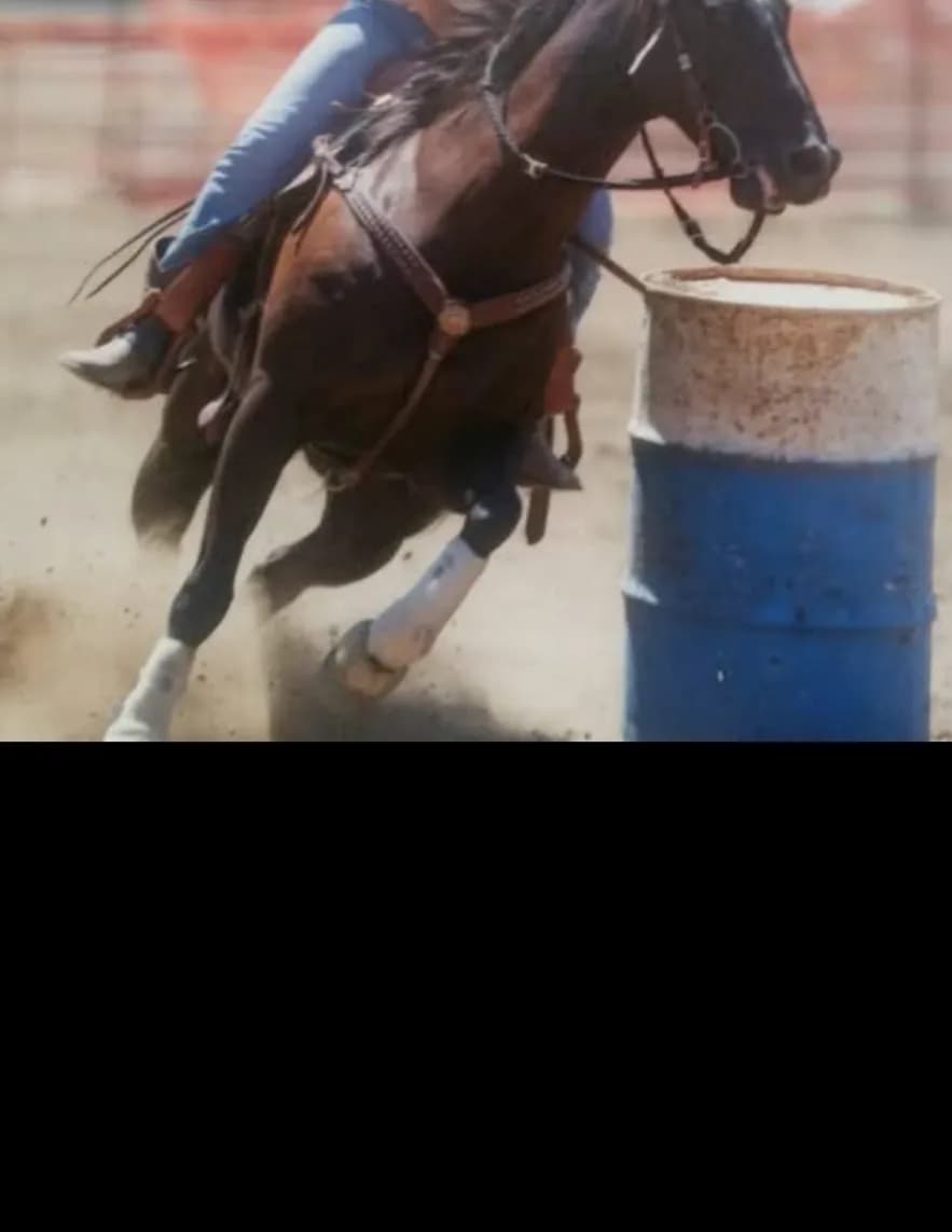 competitor Pxvb3