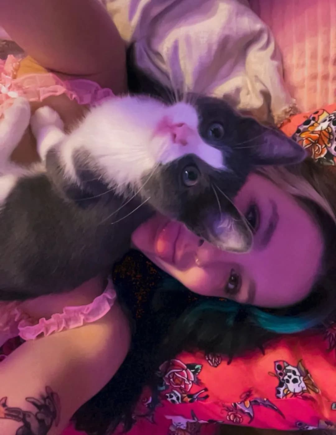 Ari image
