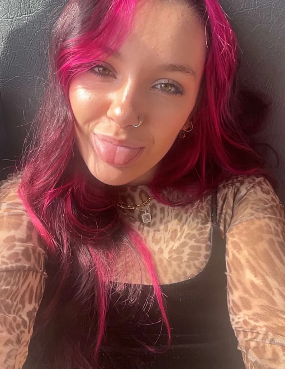 Ari image