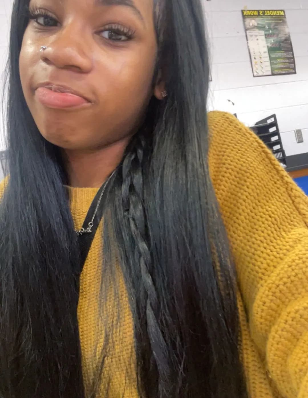 Kalaye alexander image