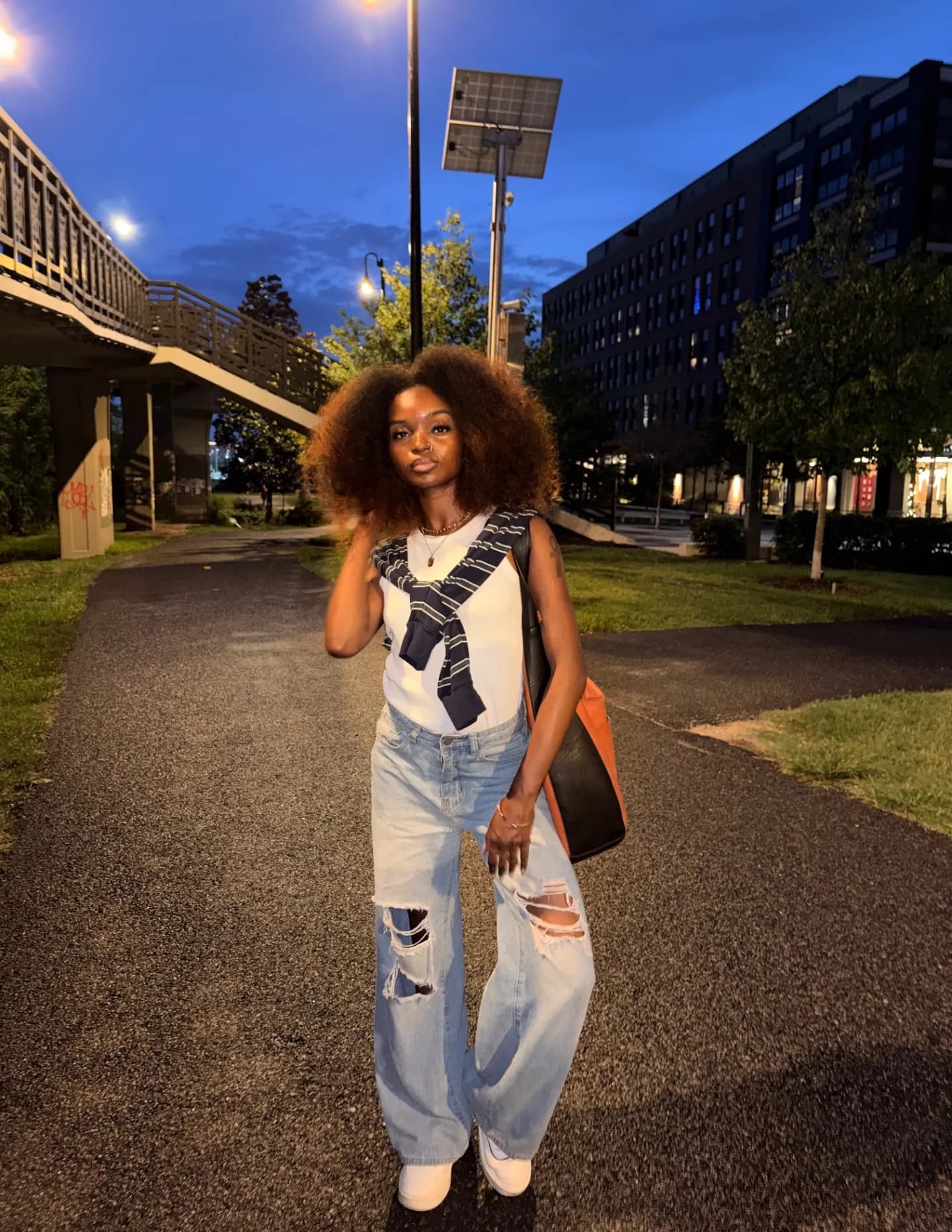 Sade Ali image
