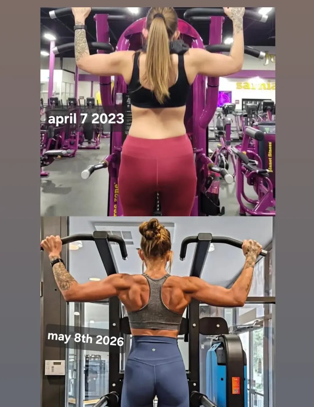 competitor ZPWYG