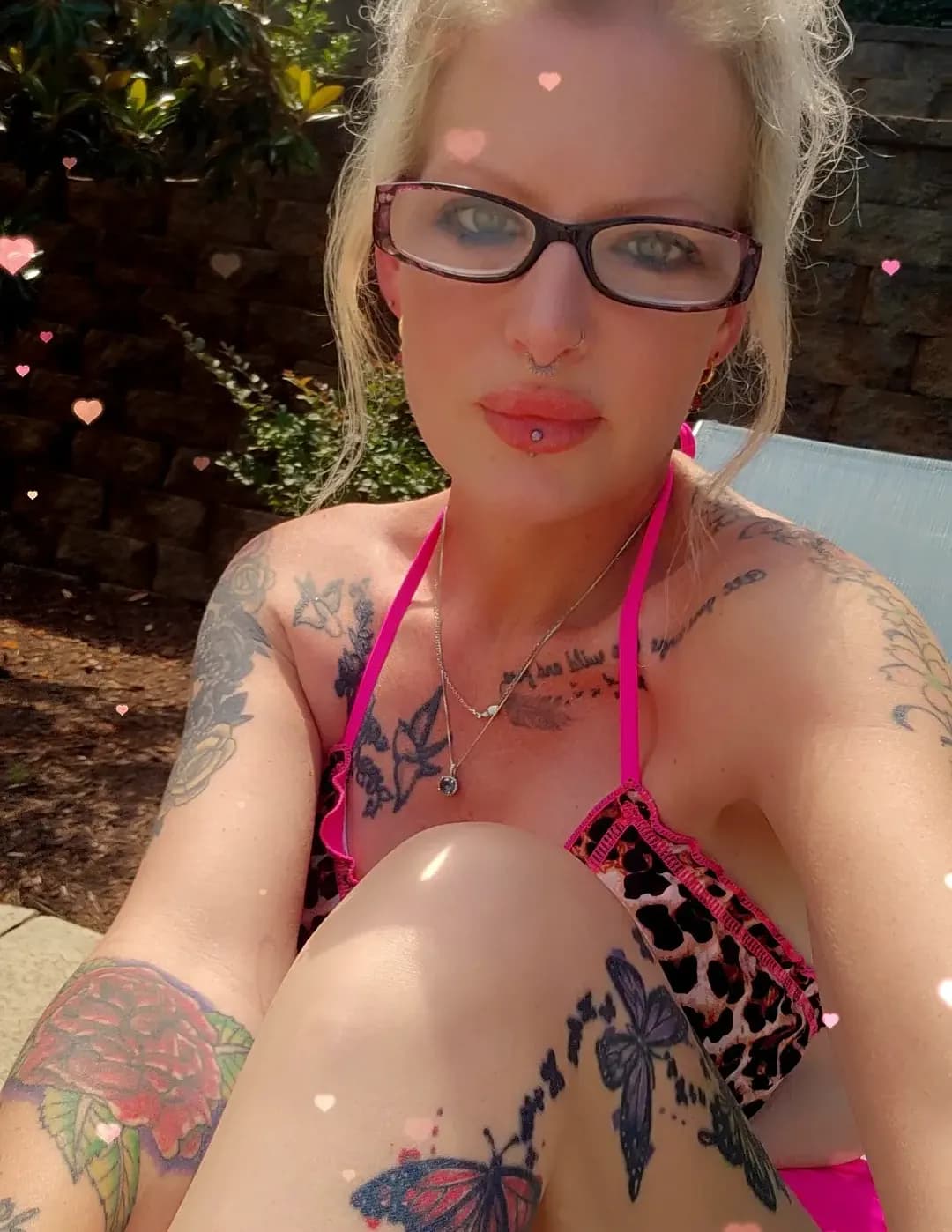 Summerbowen image