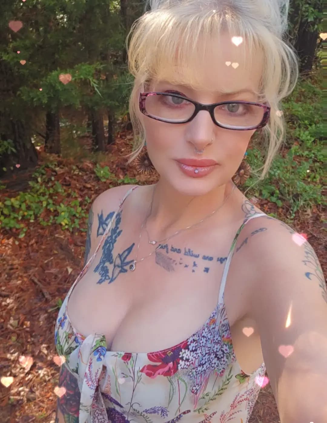 Summerbowen image