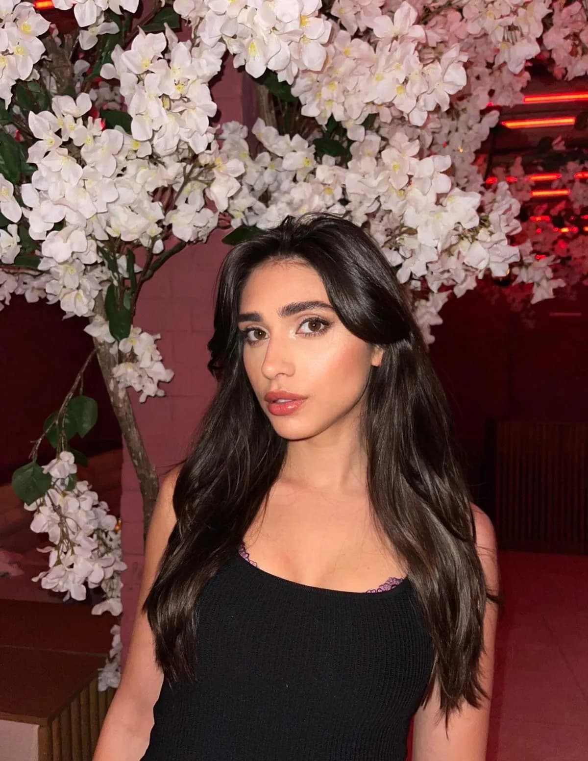 Alexandra Bellissimo image