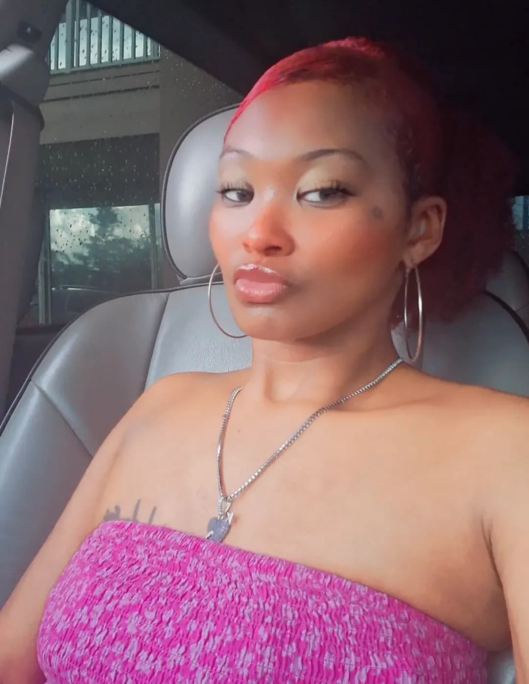 Tarnisha image