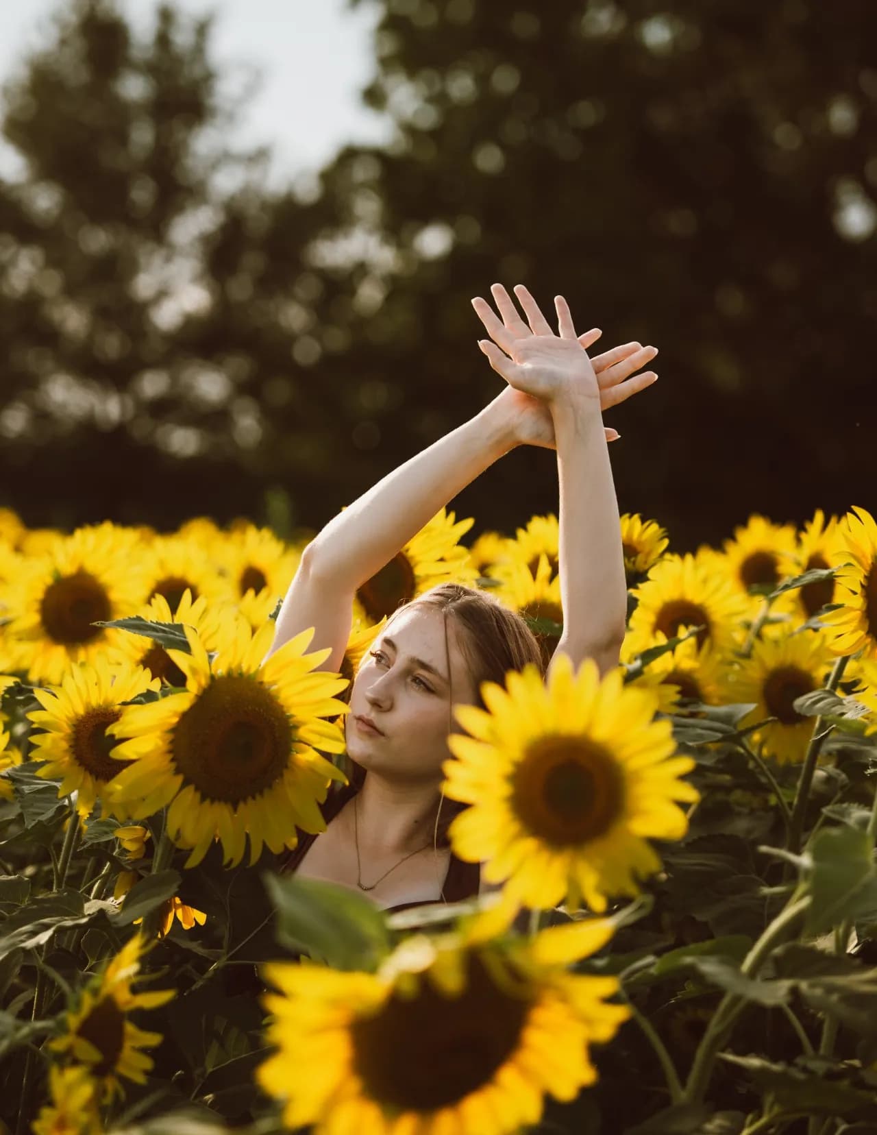 Elizabeth Sherman image