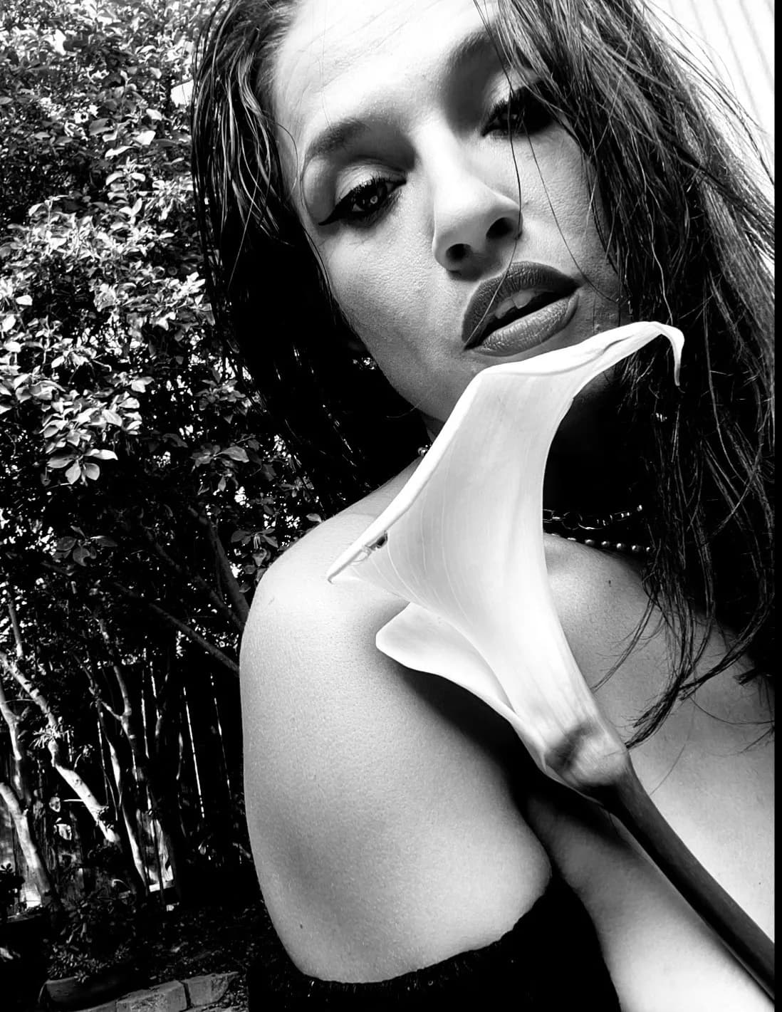 Sophia Rose image