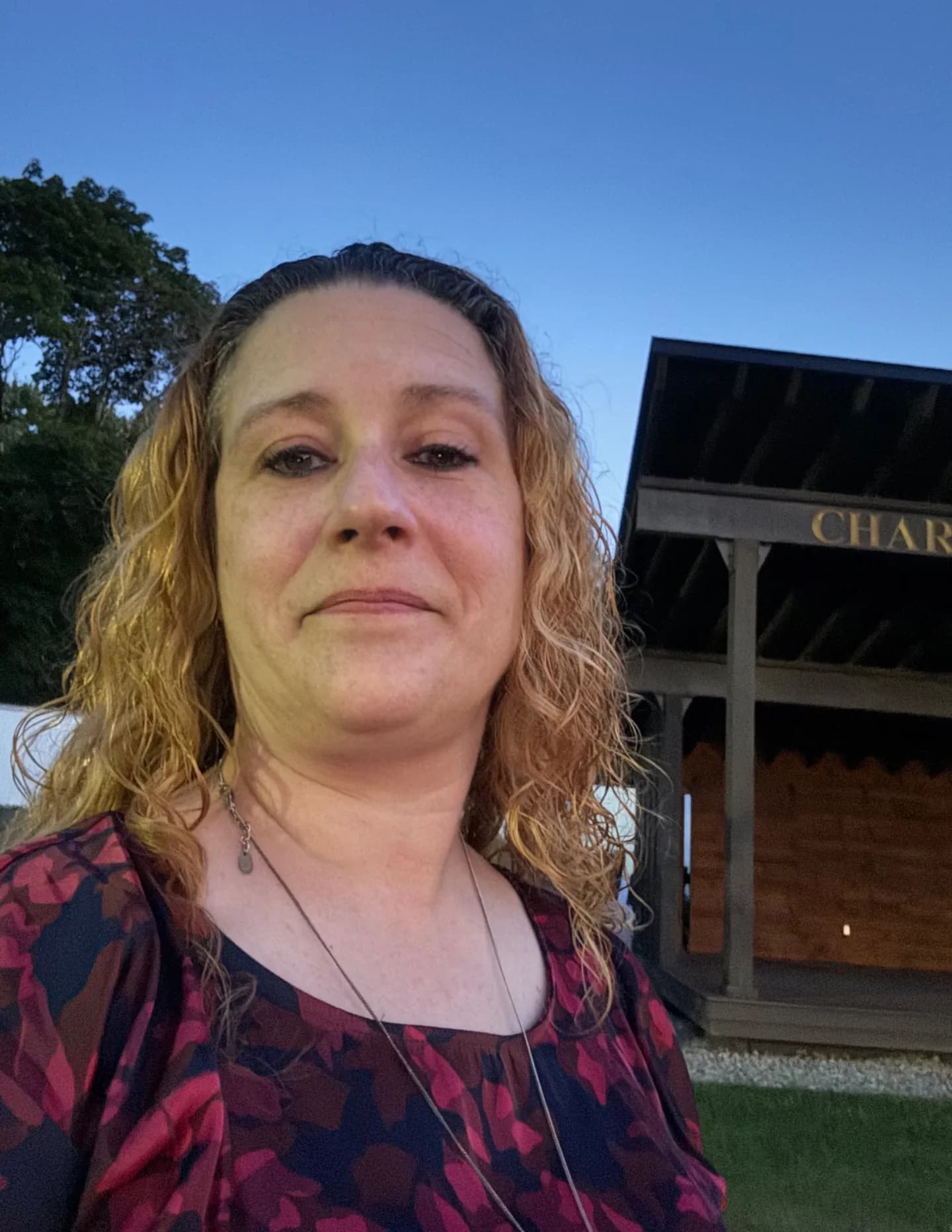 Tammy Newton image